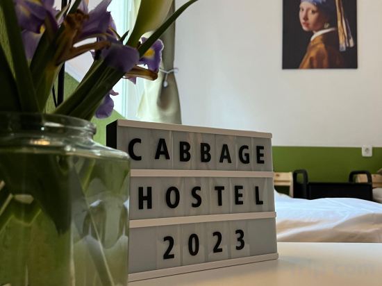 Фото Cabbage Hostel