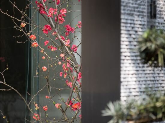 Фото The Hidden House Hotel