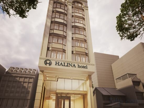 Hotel Halina Hotel And Apartment , Da Nang, photo