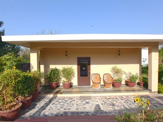 Фото Treehouse The Pugmark