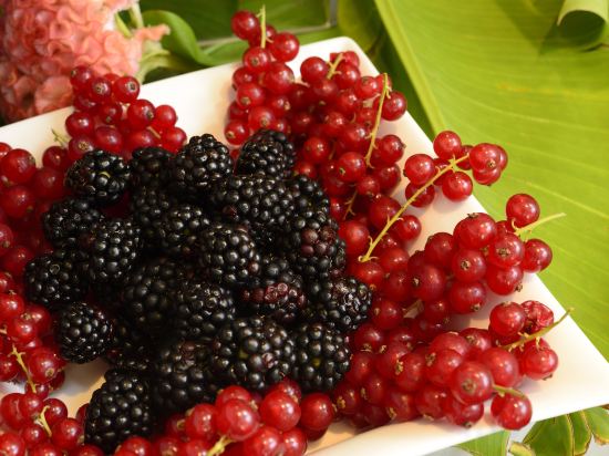 Фото Hotel Pulitzer Roma