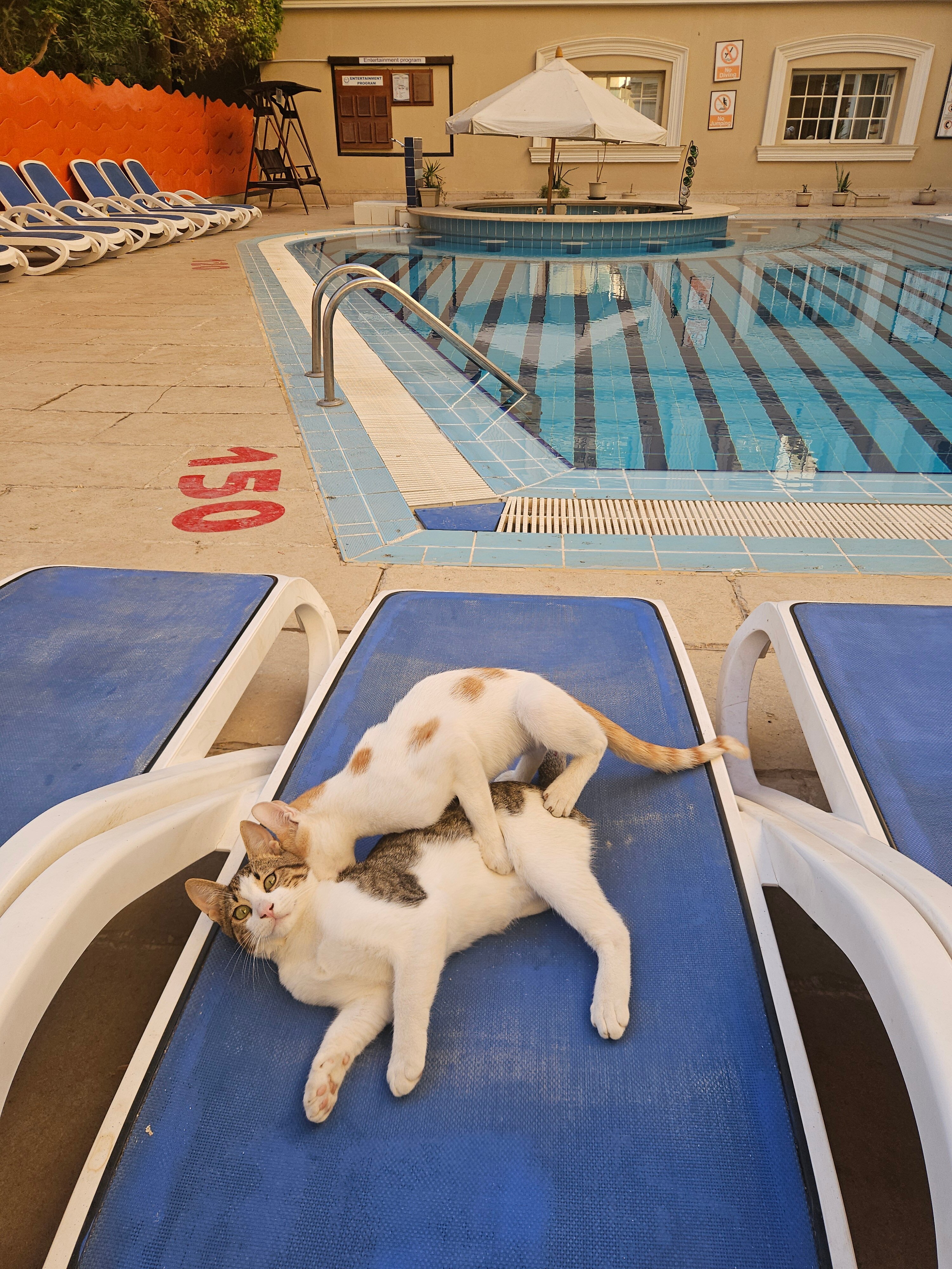 Фото Elysees Dream Beach Hotel