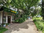 Vasilek (11th microdistrict, 3), flower shop