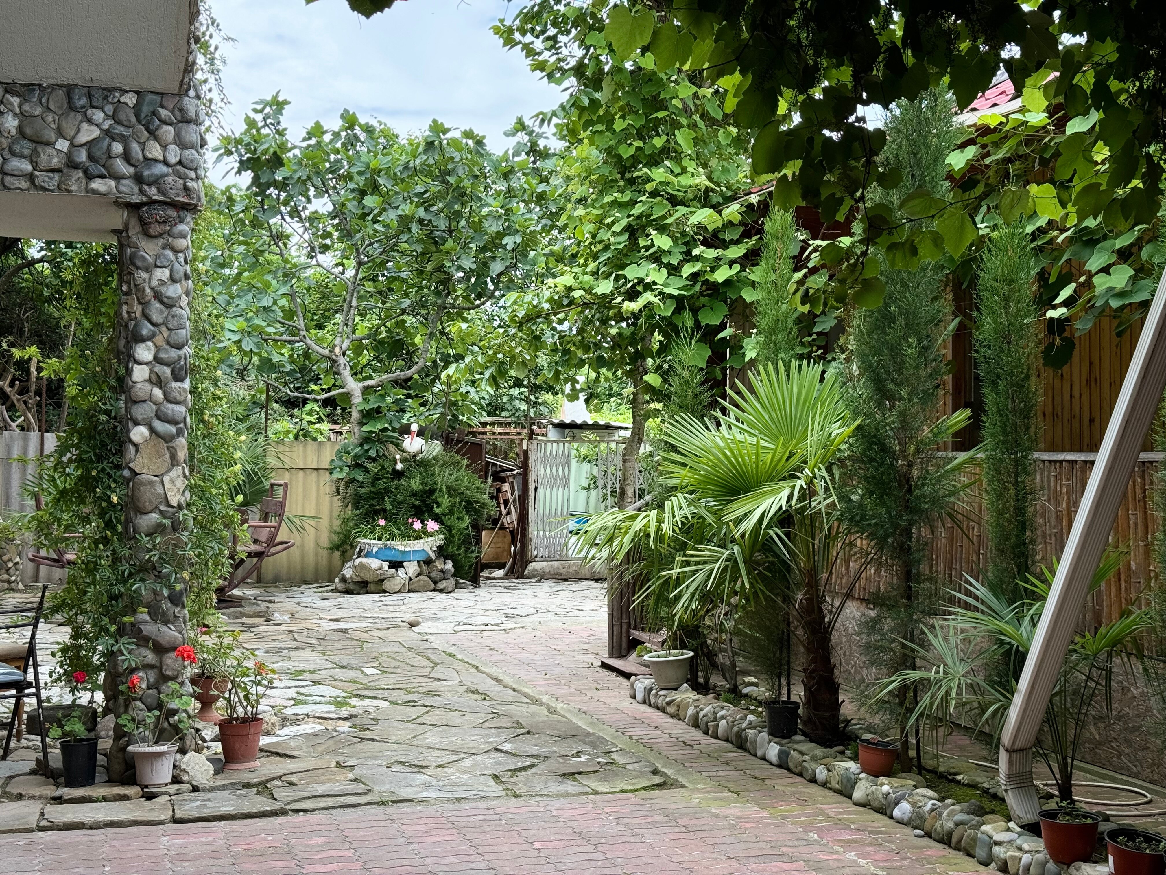 Фото Hotel Damir