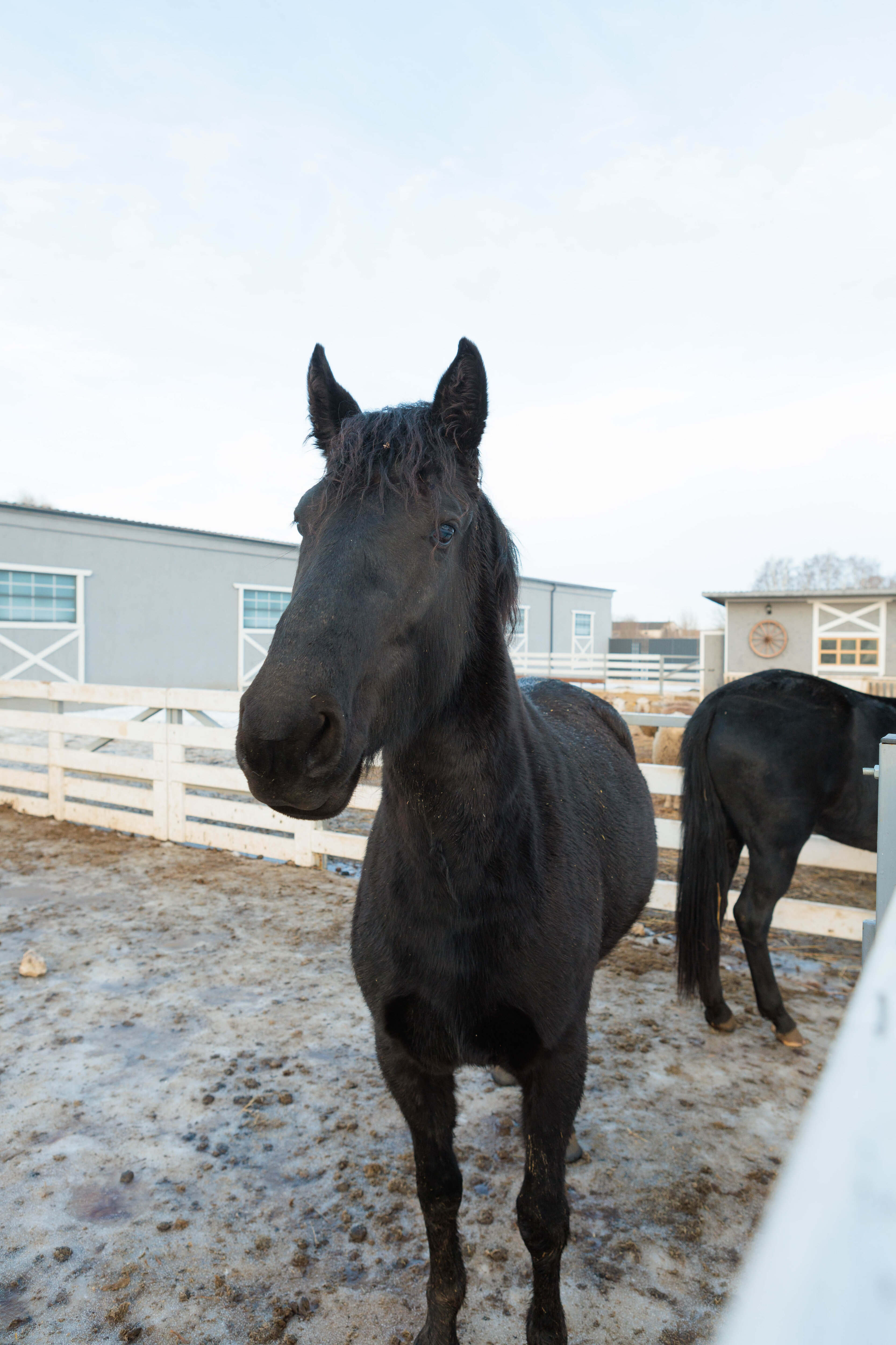 Фото Семейная ферма Федуловых