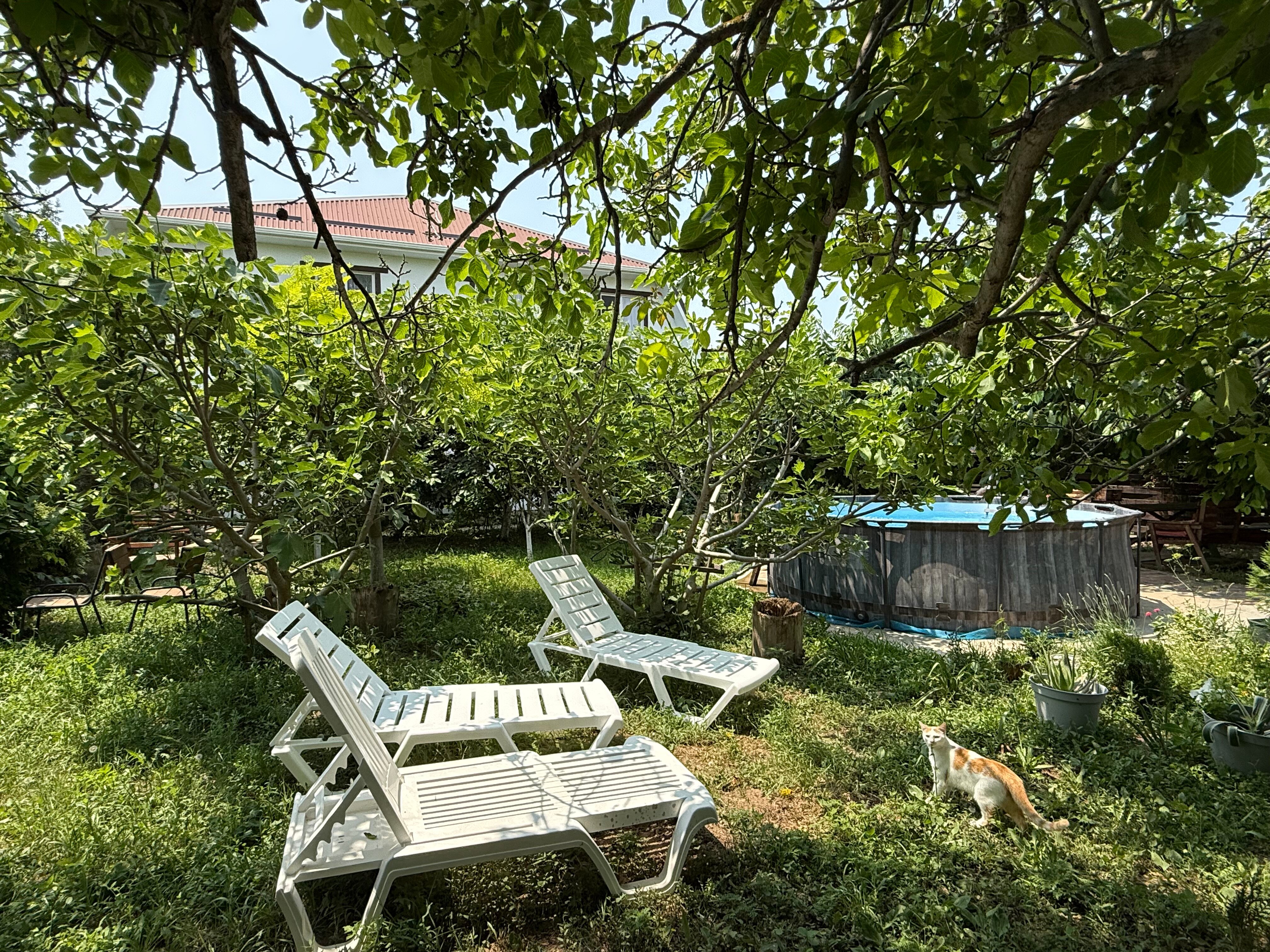 Фото Green House