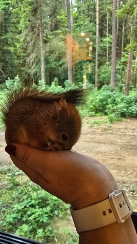 Дом отдыха Озеро белых лилий в Подмосковье