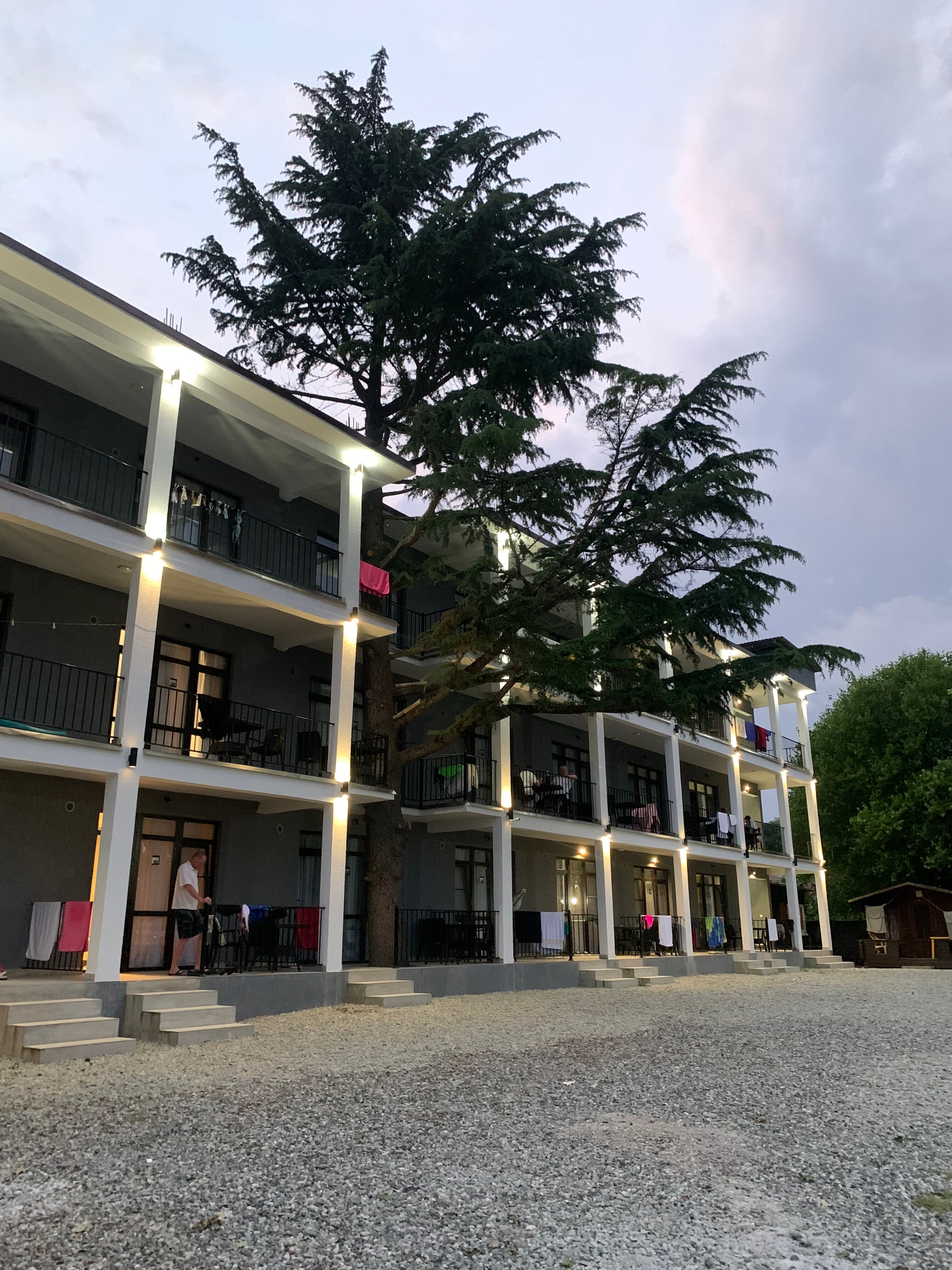 Фото Три Тополя