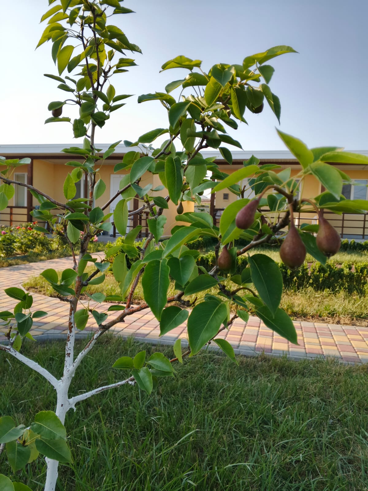 Фото Усадьба Приморское