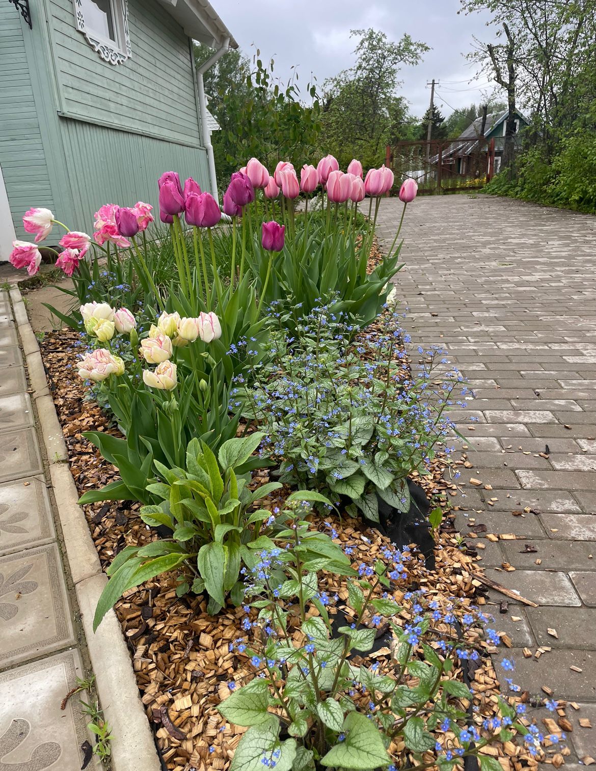 Фото Отрада