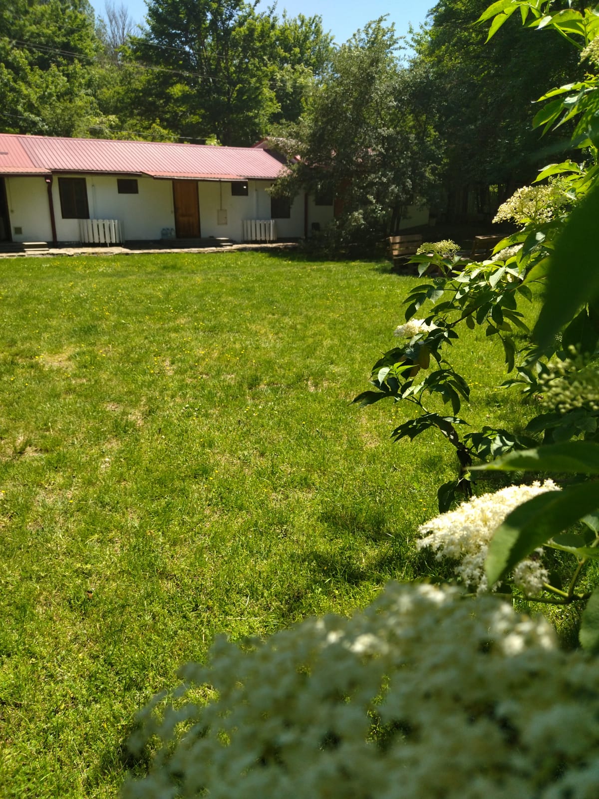 Фото Поляна Убинская