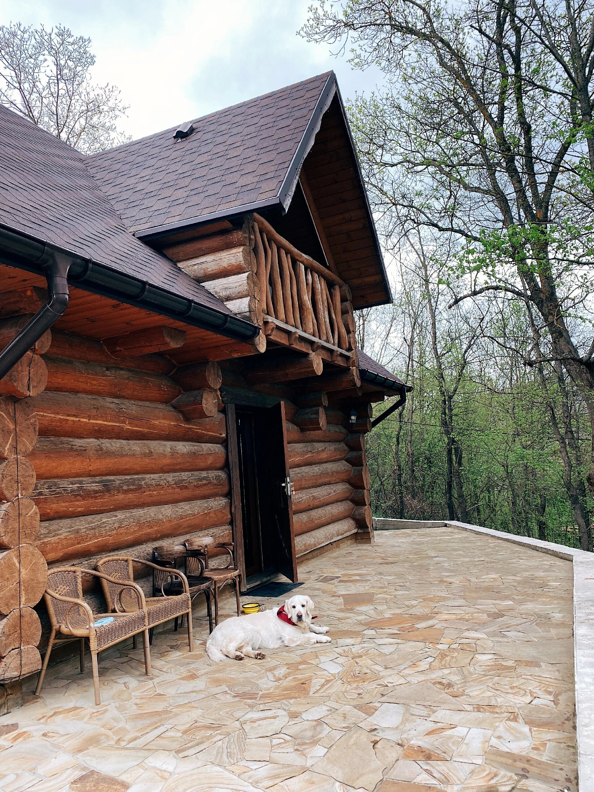 Фото Шале Бойка