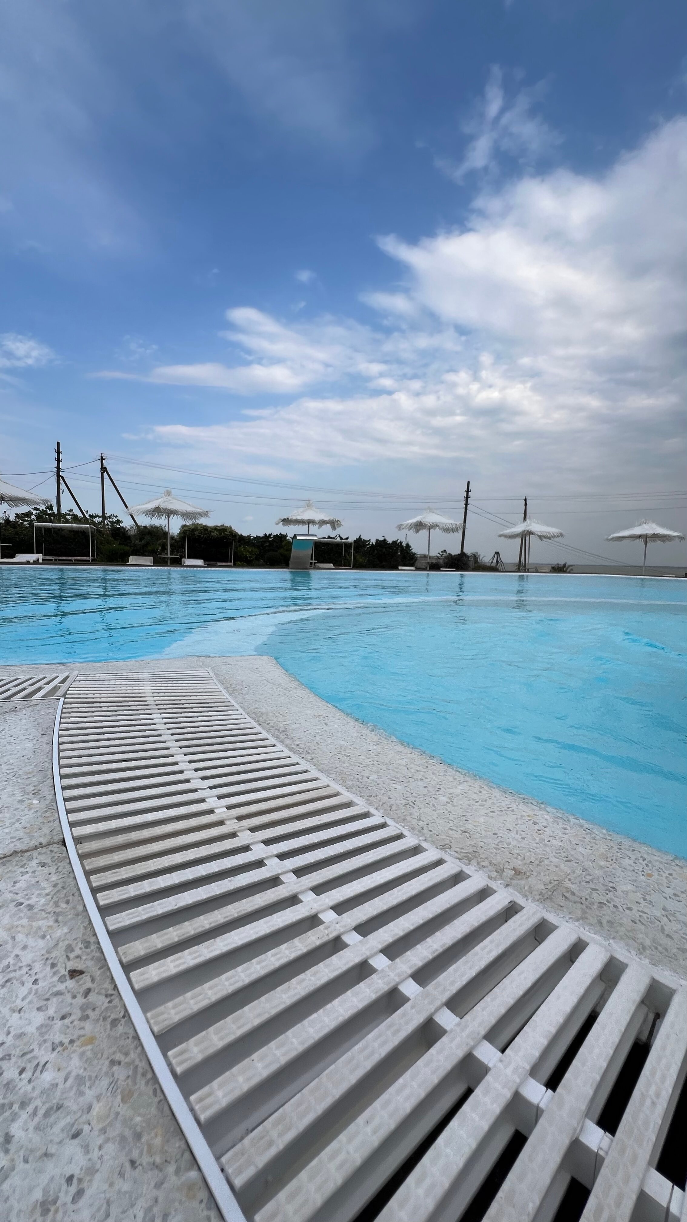 Фото Альбатрос