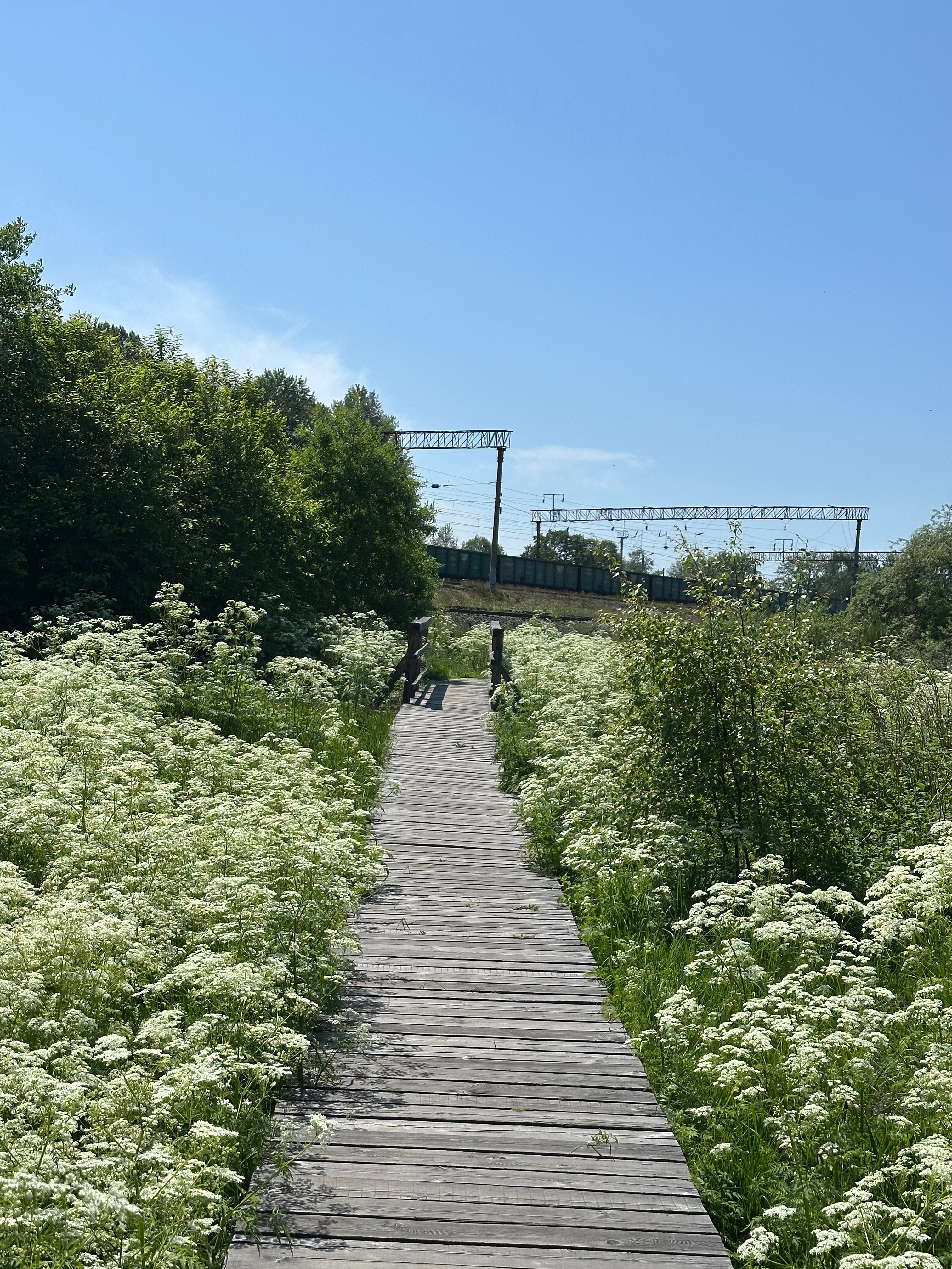 Фото Baikal Surf