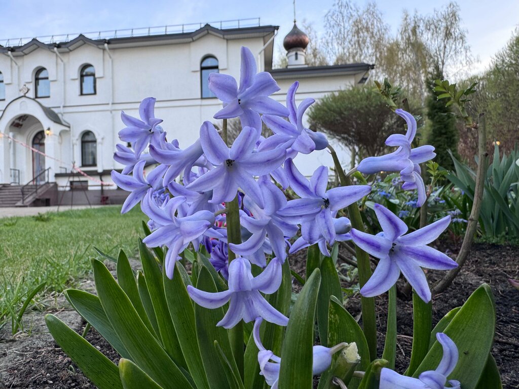 Orthodox church Храм иконы Божией Матери Взыскание погибших, Minsk, photo
