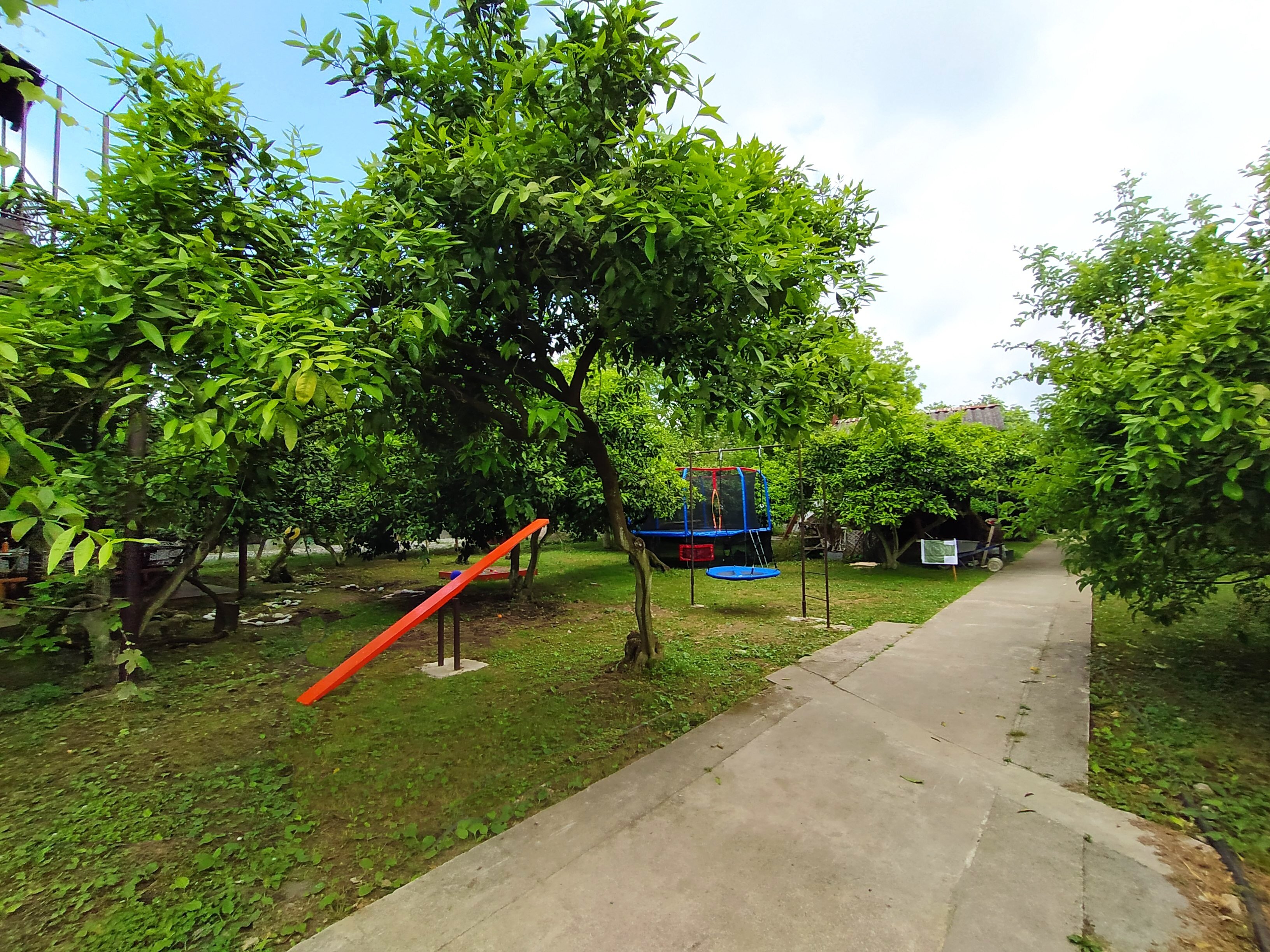 Фото Мандариновый берег