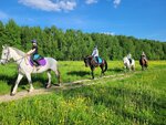 Tandem Lite (Khomutovo Quarter, 31А), horse riding