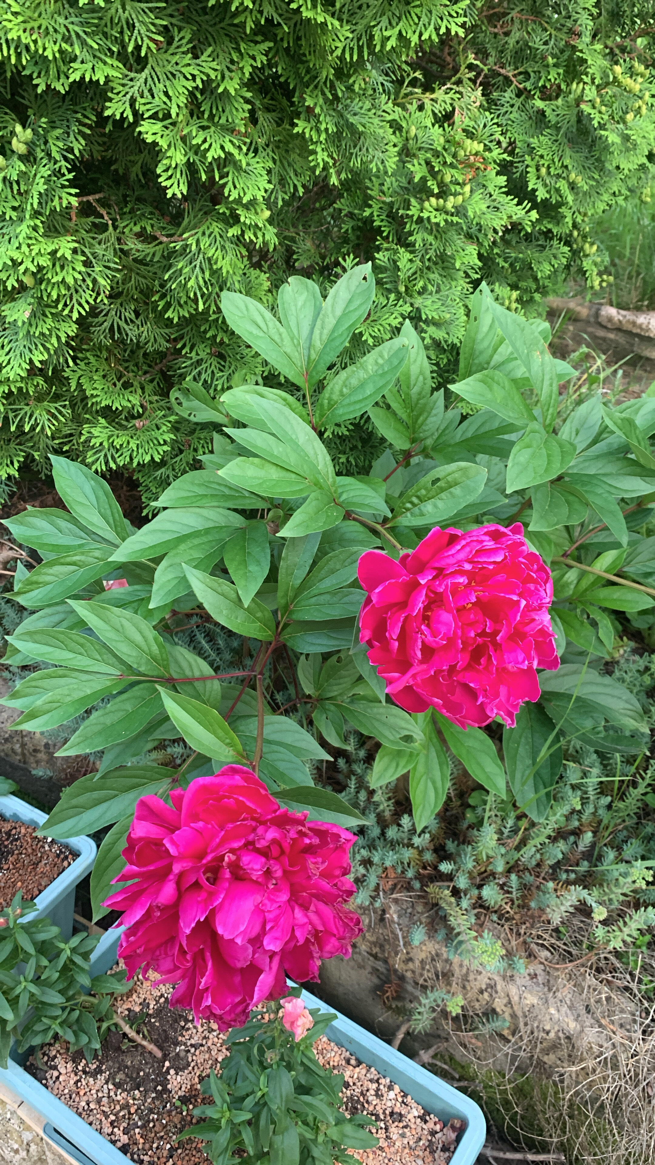 Фото Апартаменты на Заречной