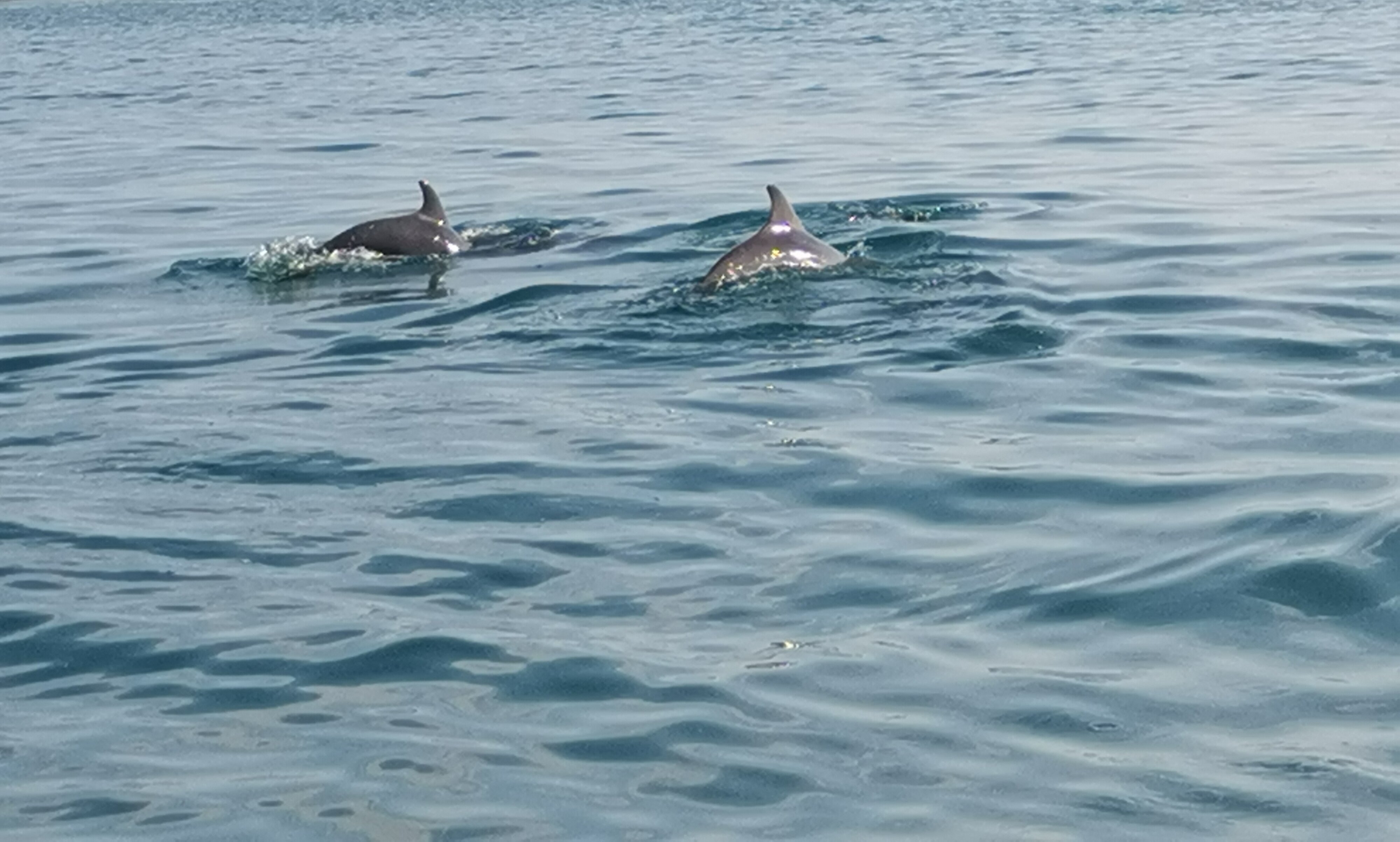 Фото Море и солнце