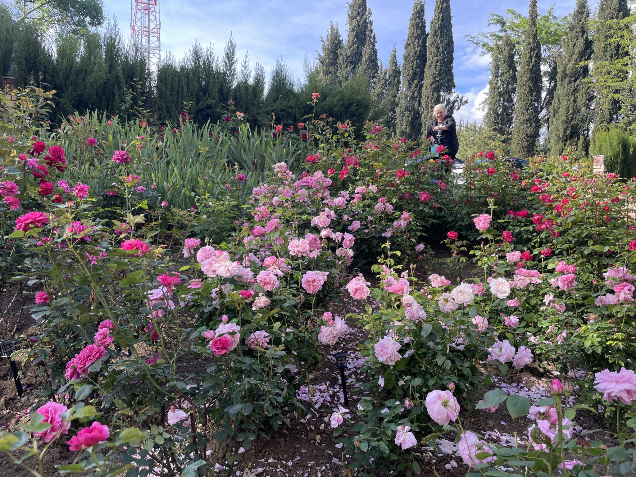 Фото Аквани