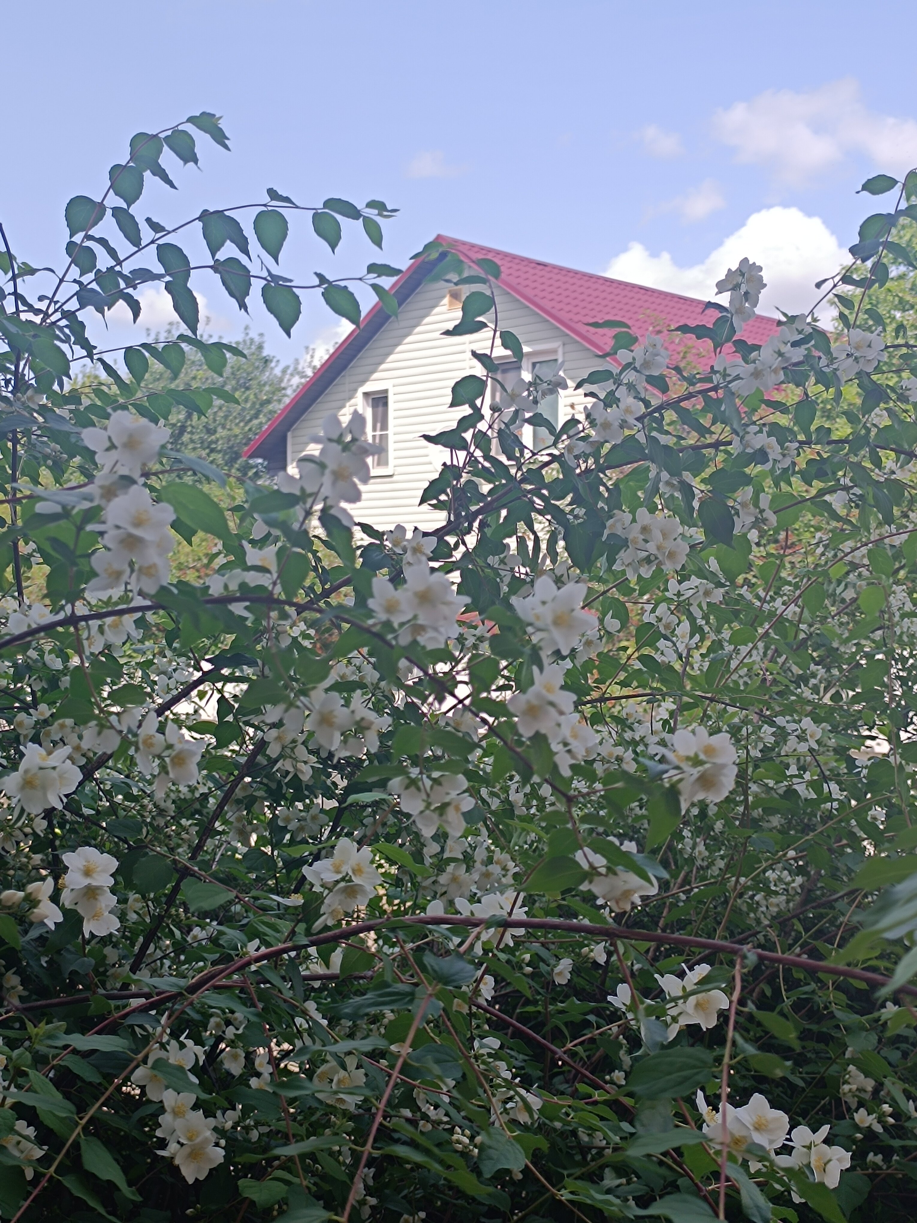 Фото Дом Учёных