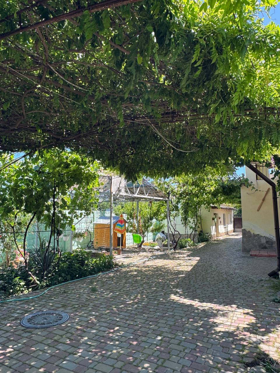 Фото Долина солнца