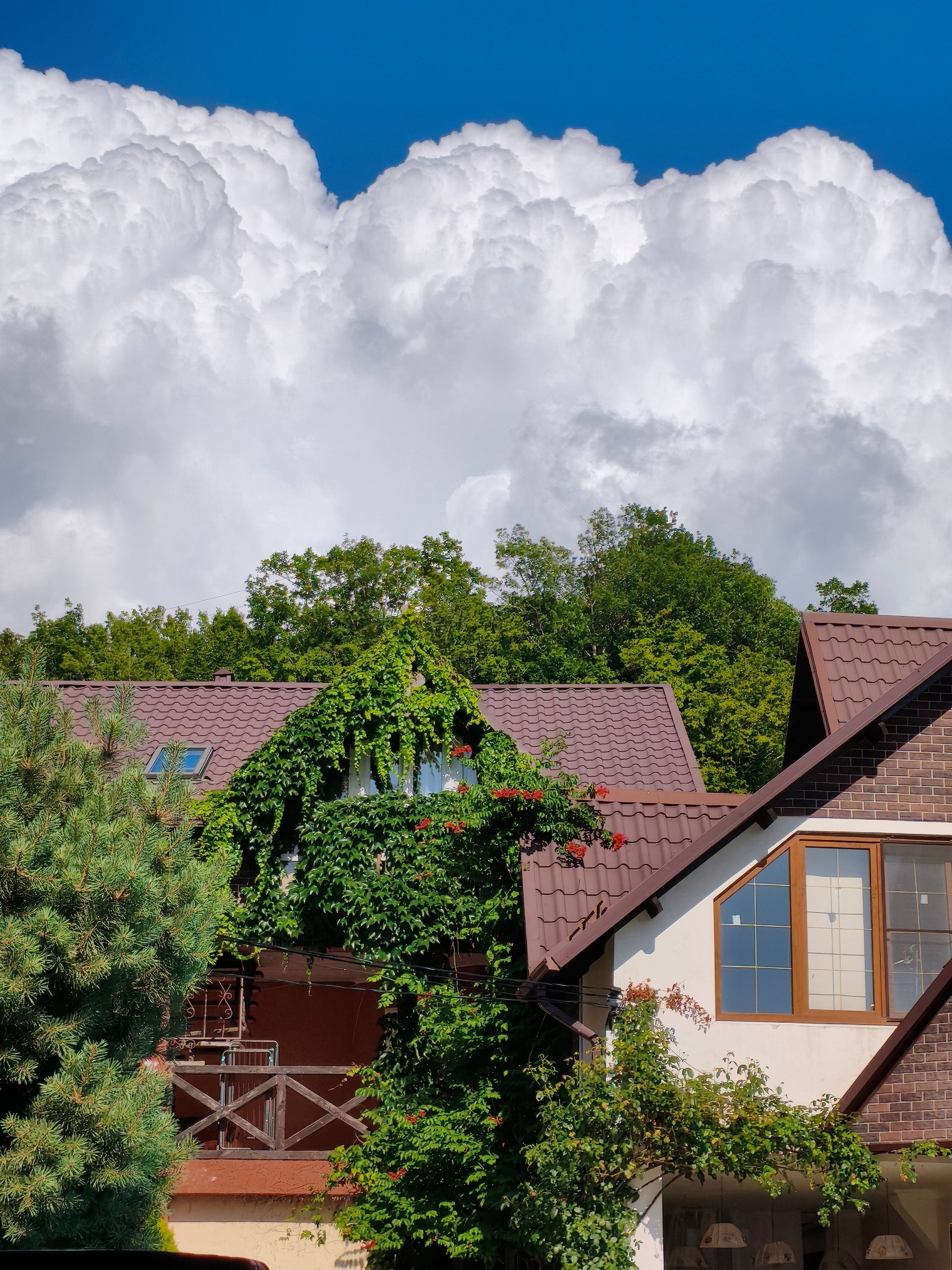 Фото Димерчи