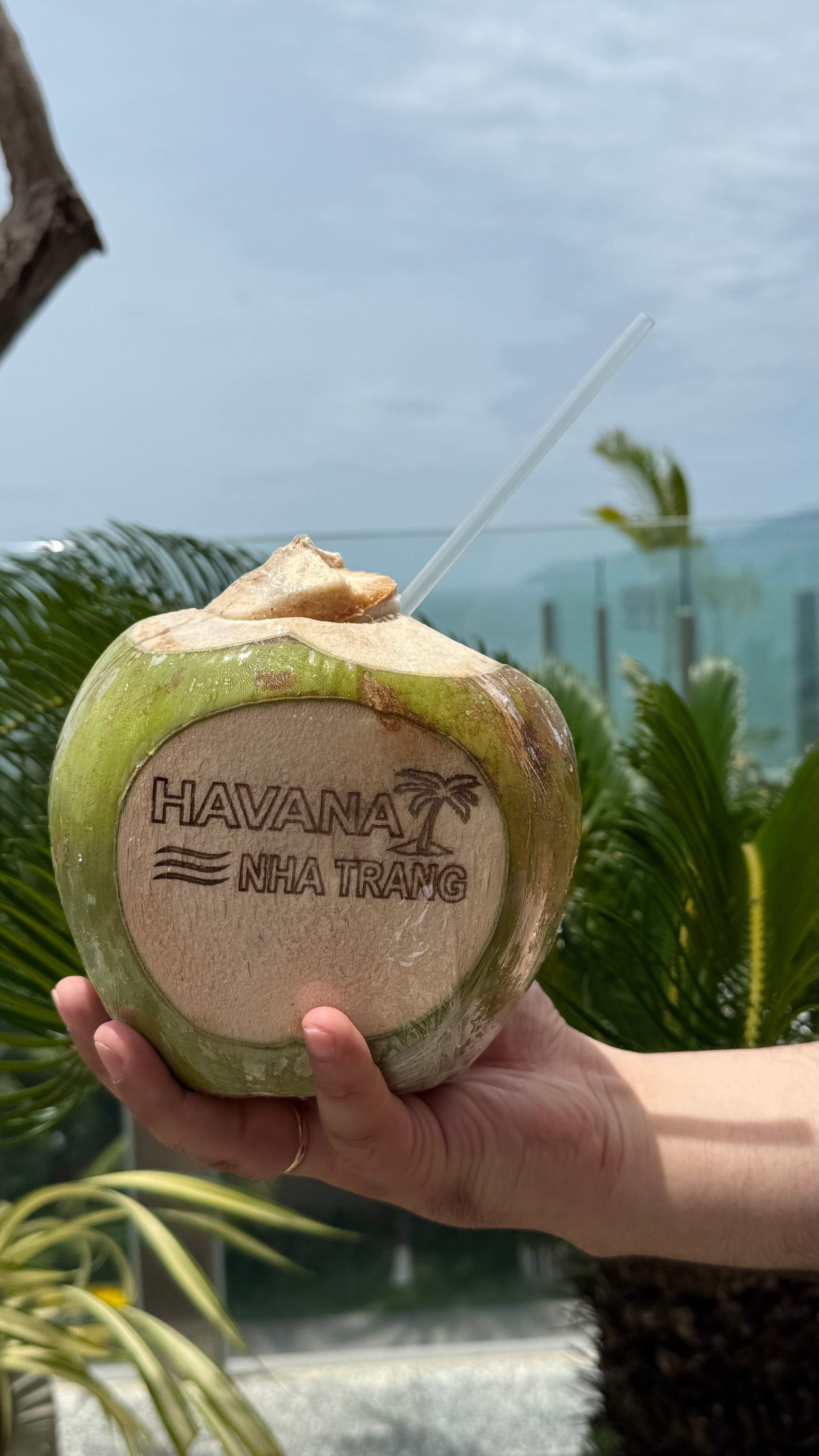 Фото Premier Havana