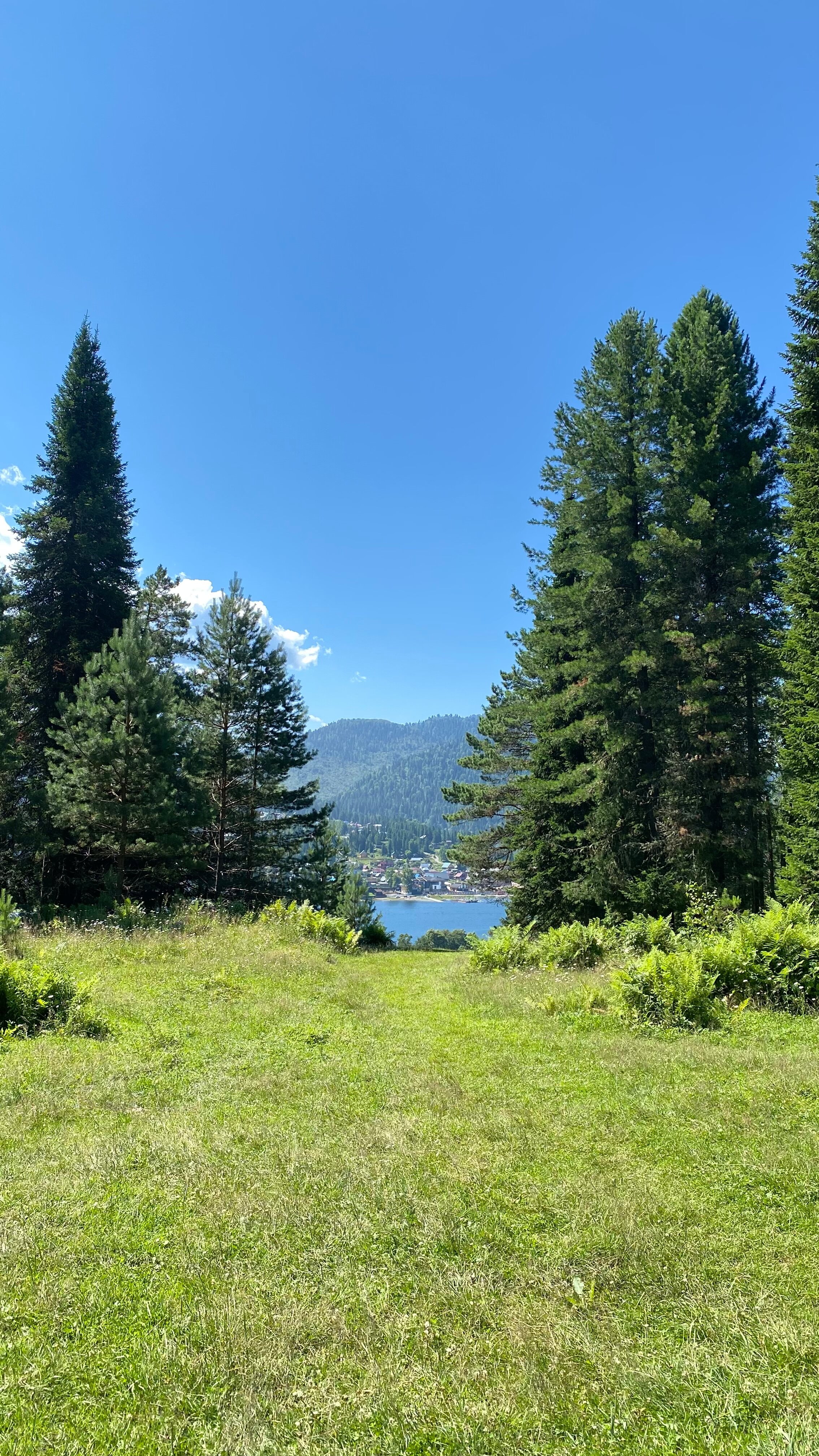 Фото Усадьба Медведица