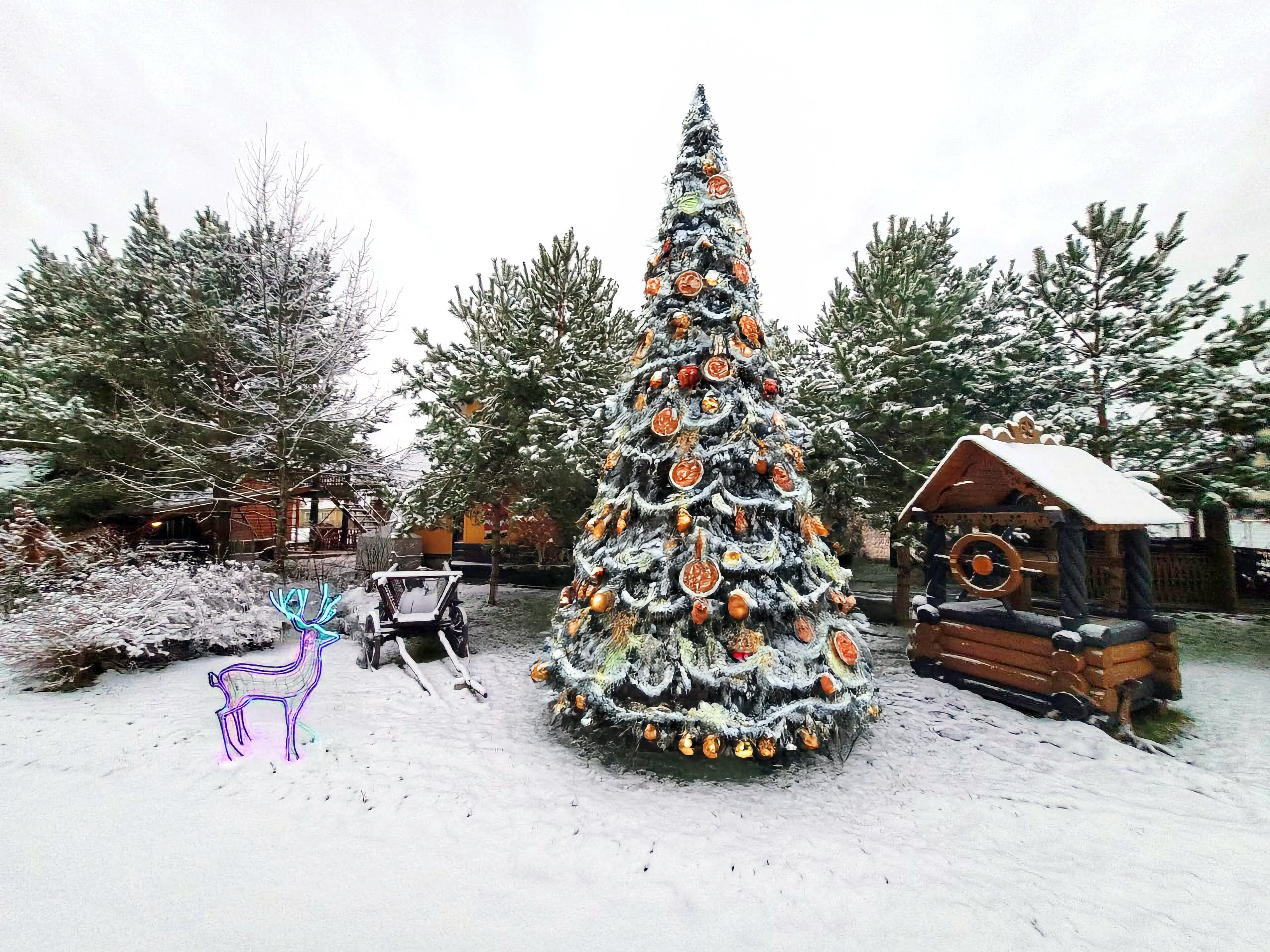 Фото Свирская