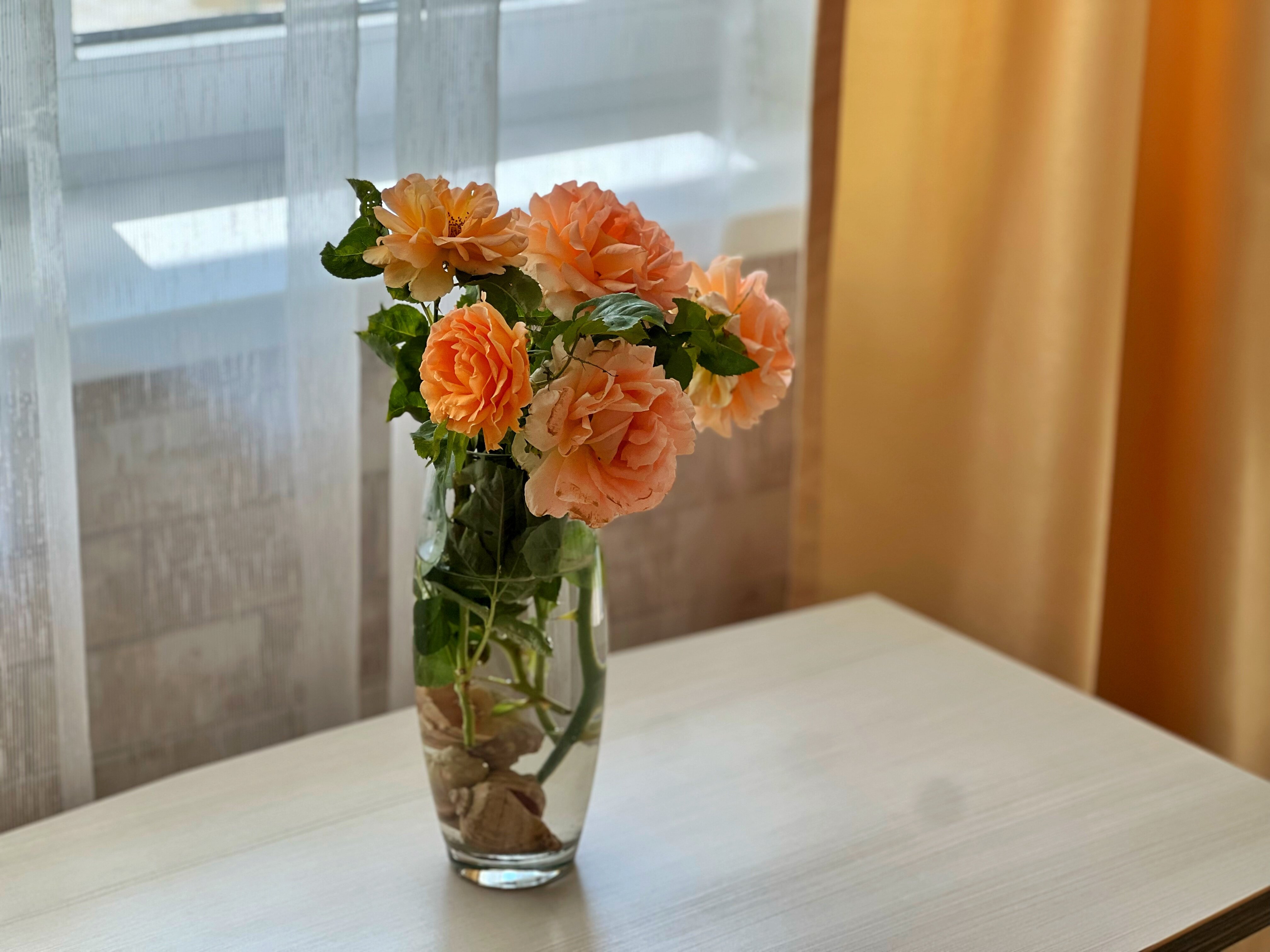 Фото Santa Maria