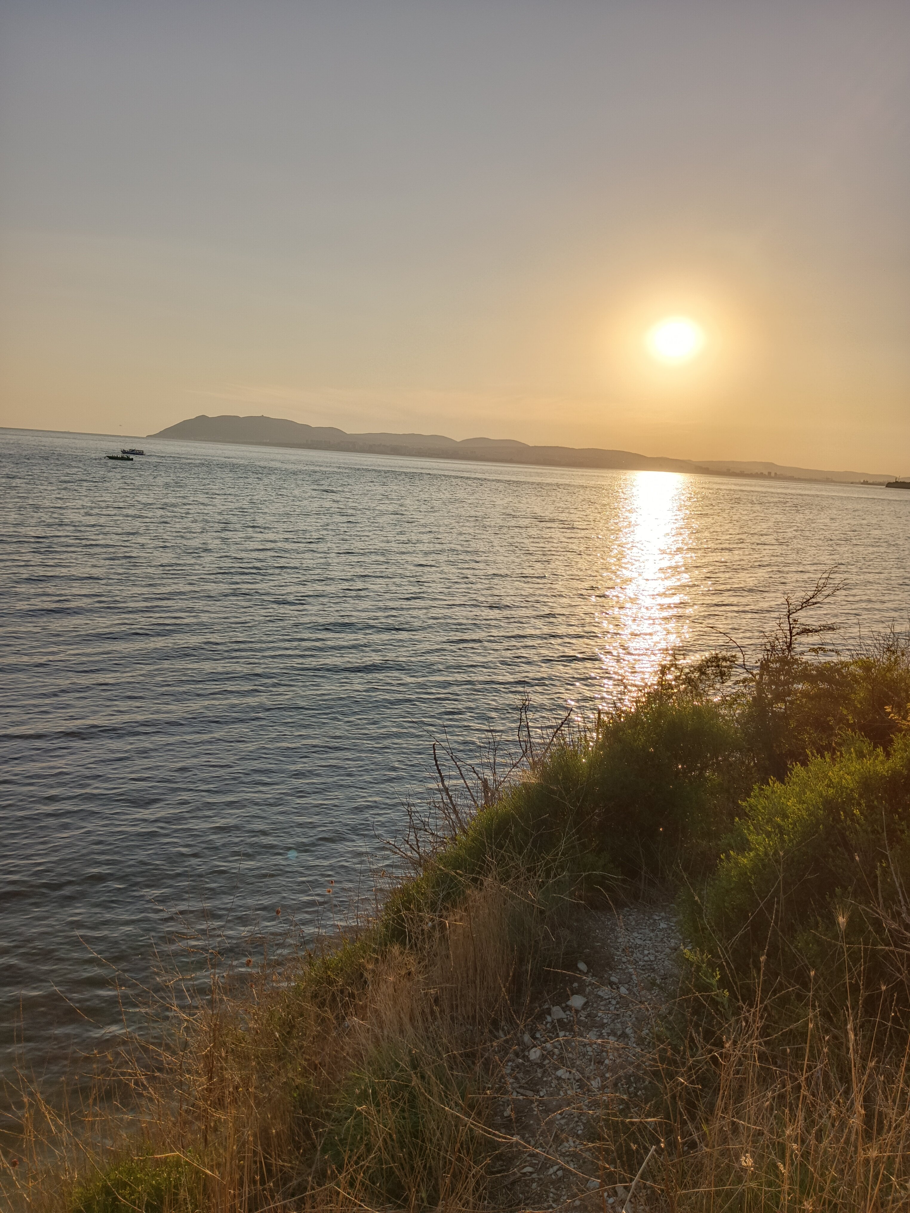 Фото Можжевеловая Роща