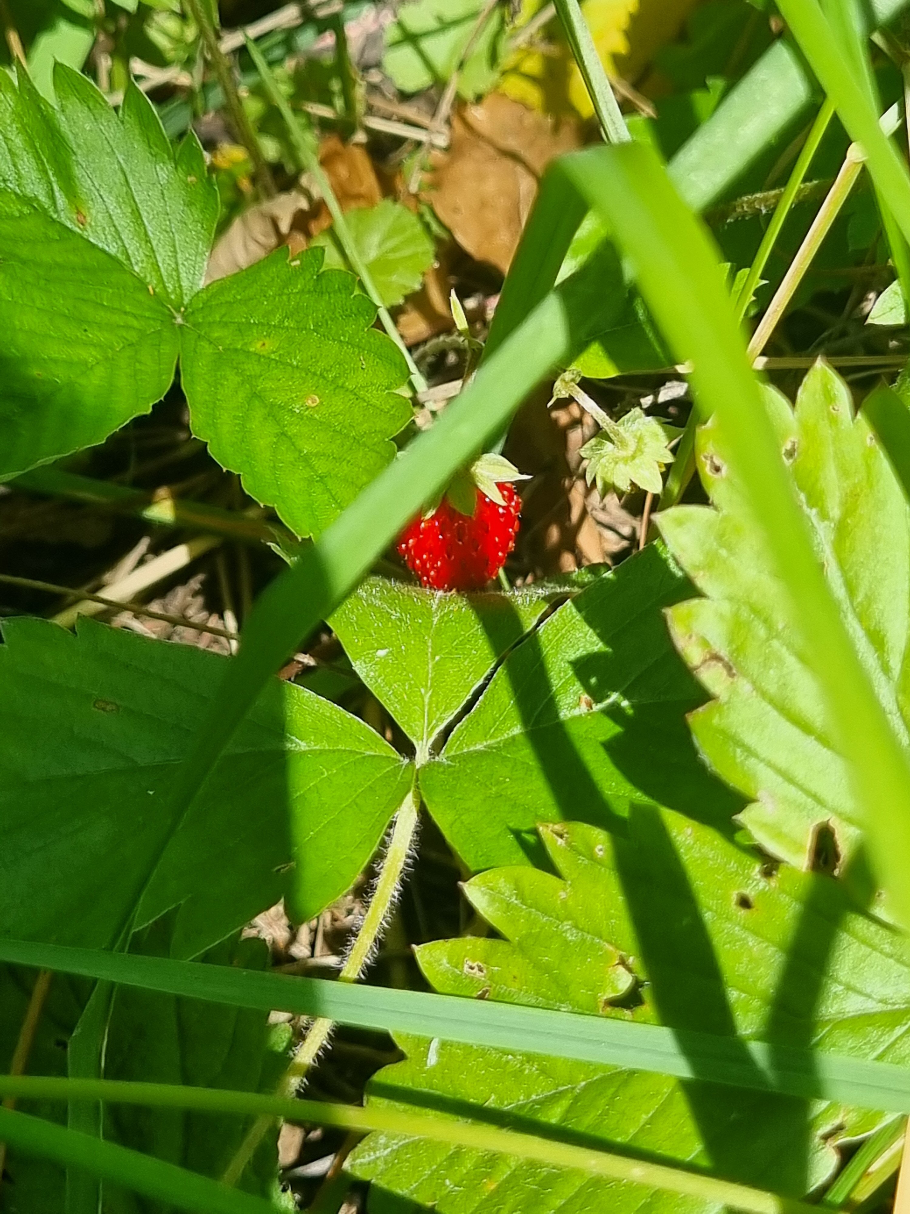 Фото Дом в заповеднике