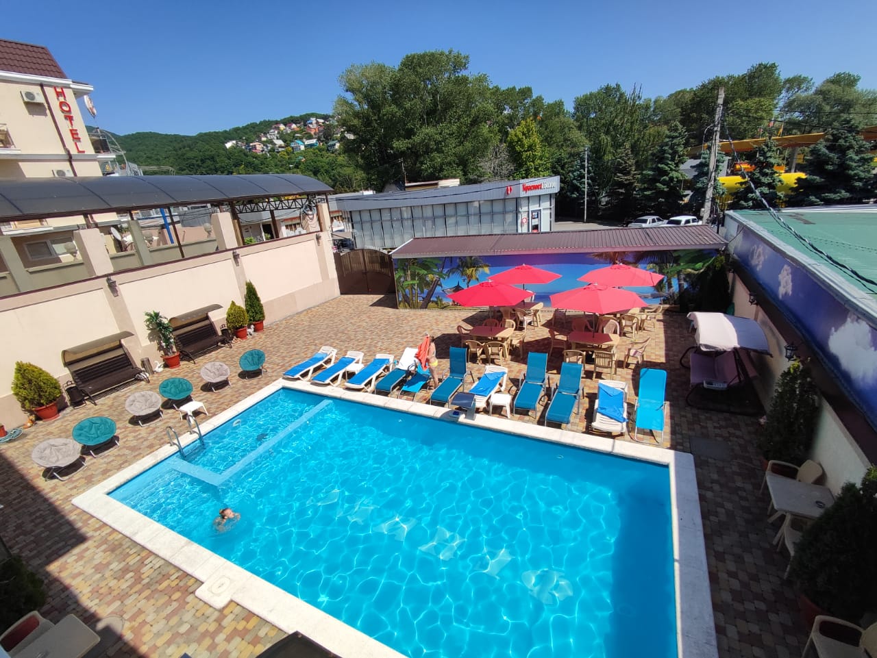 Фото Феникс