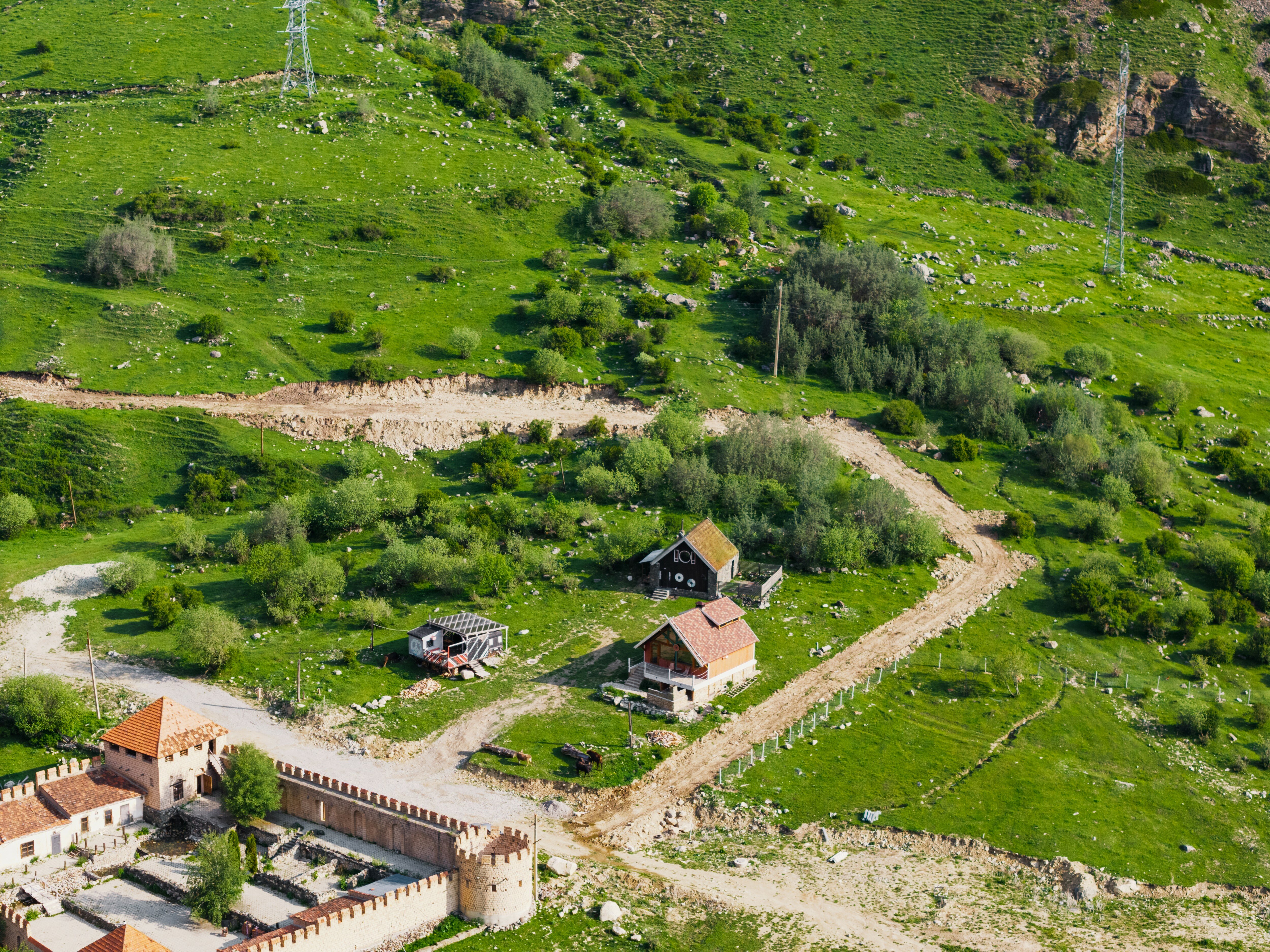 Фото Блэк Поинт