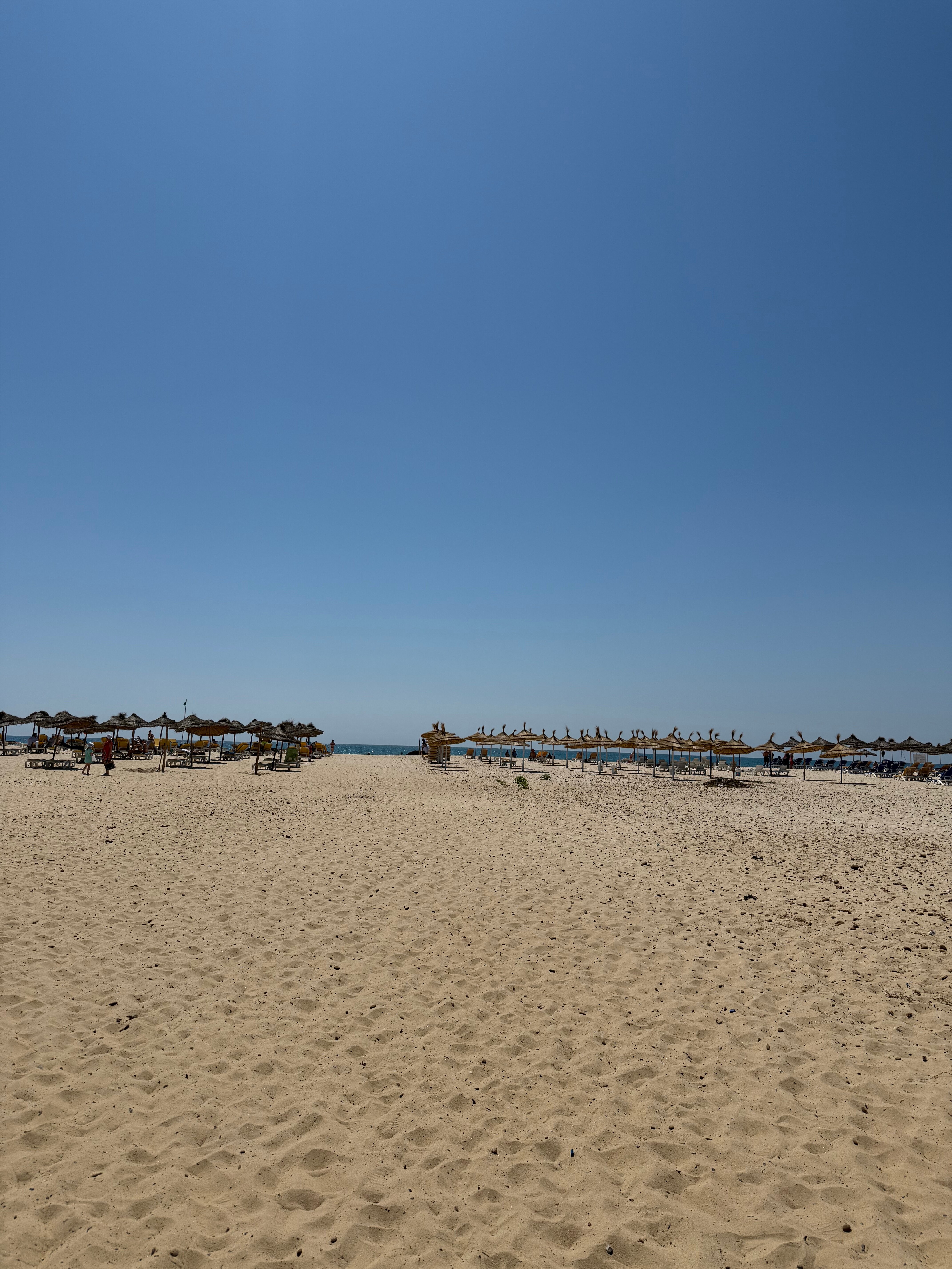 Фото Occidental Marco Polo