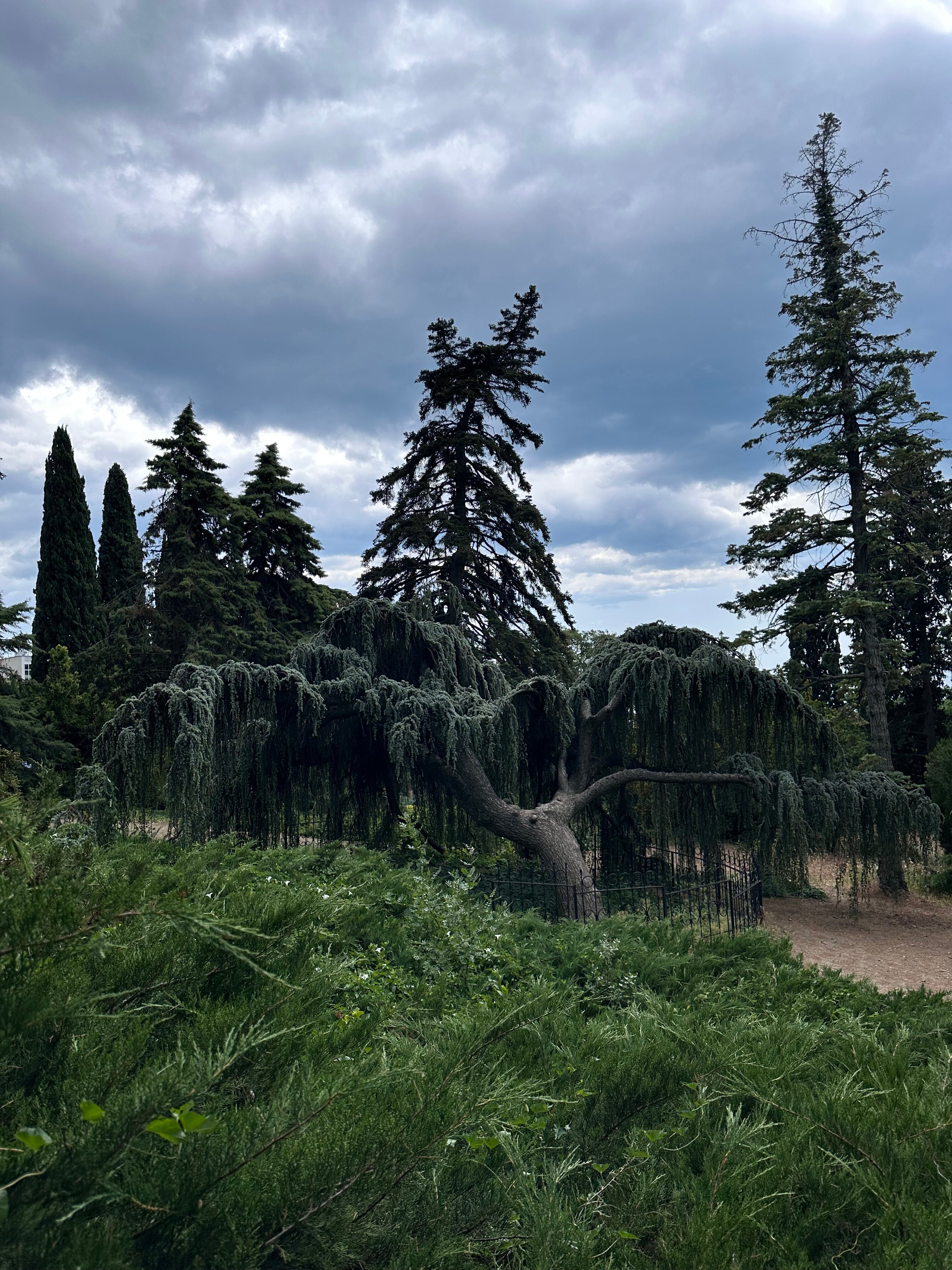 Фото Лесная Сказка