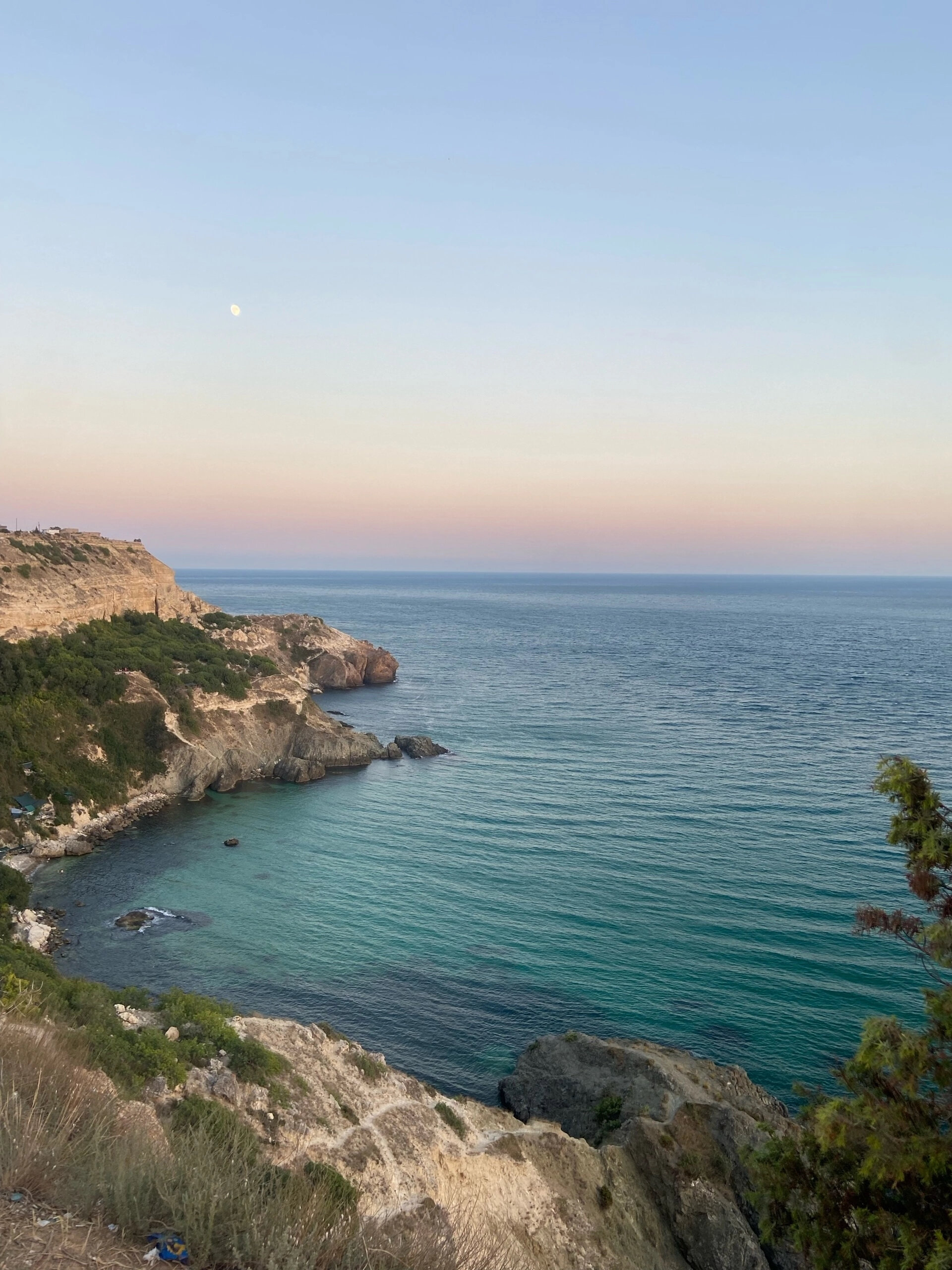 Фото Шафран