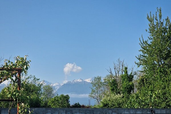 Фото Фазенда