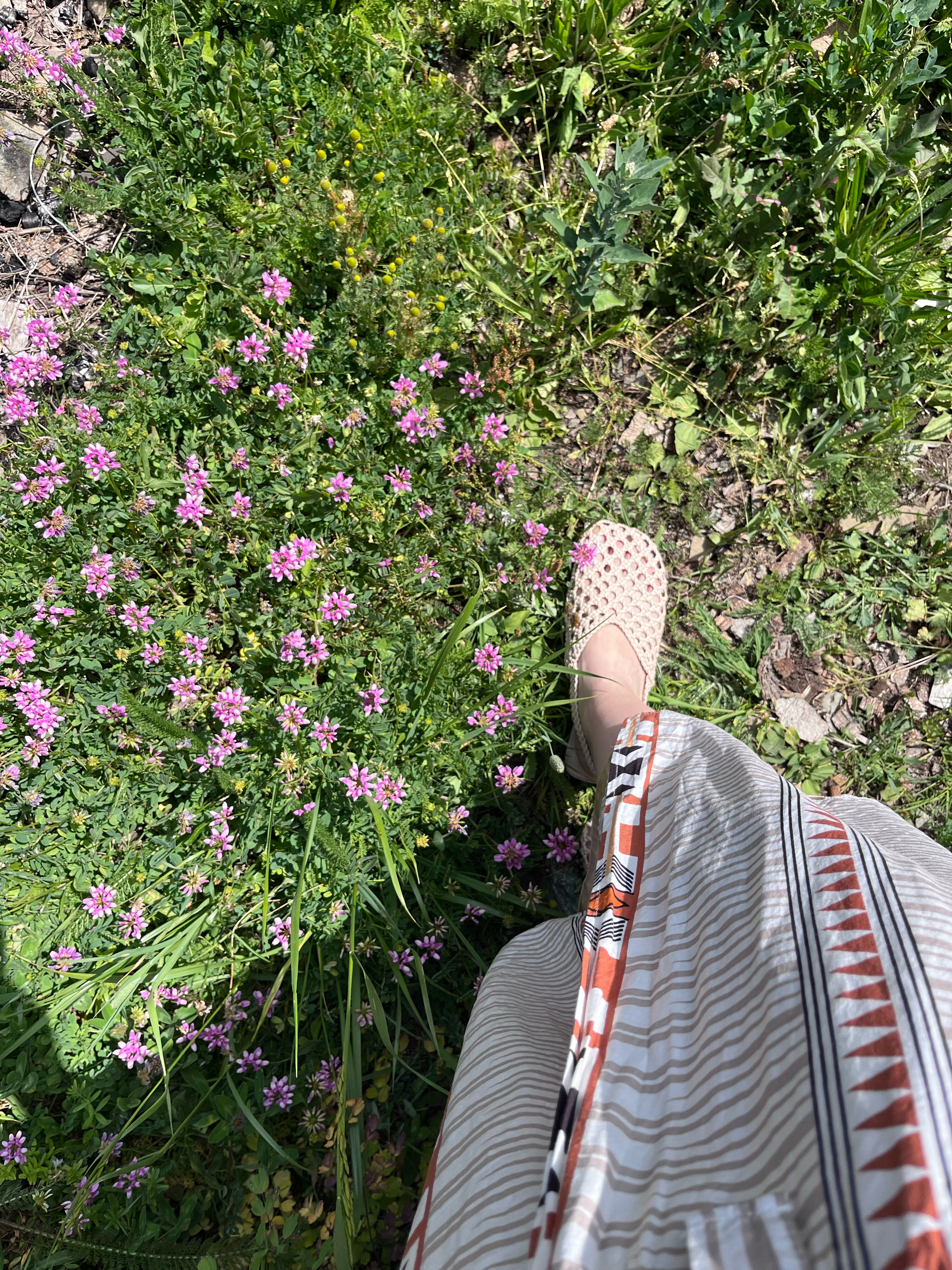 Фото Arkhyz Family Lodge