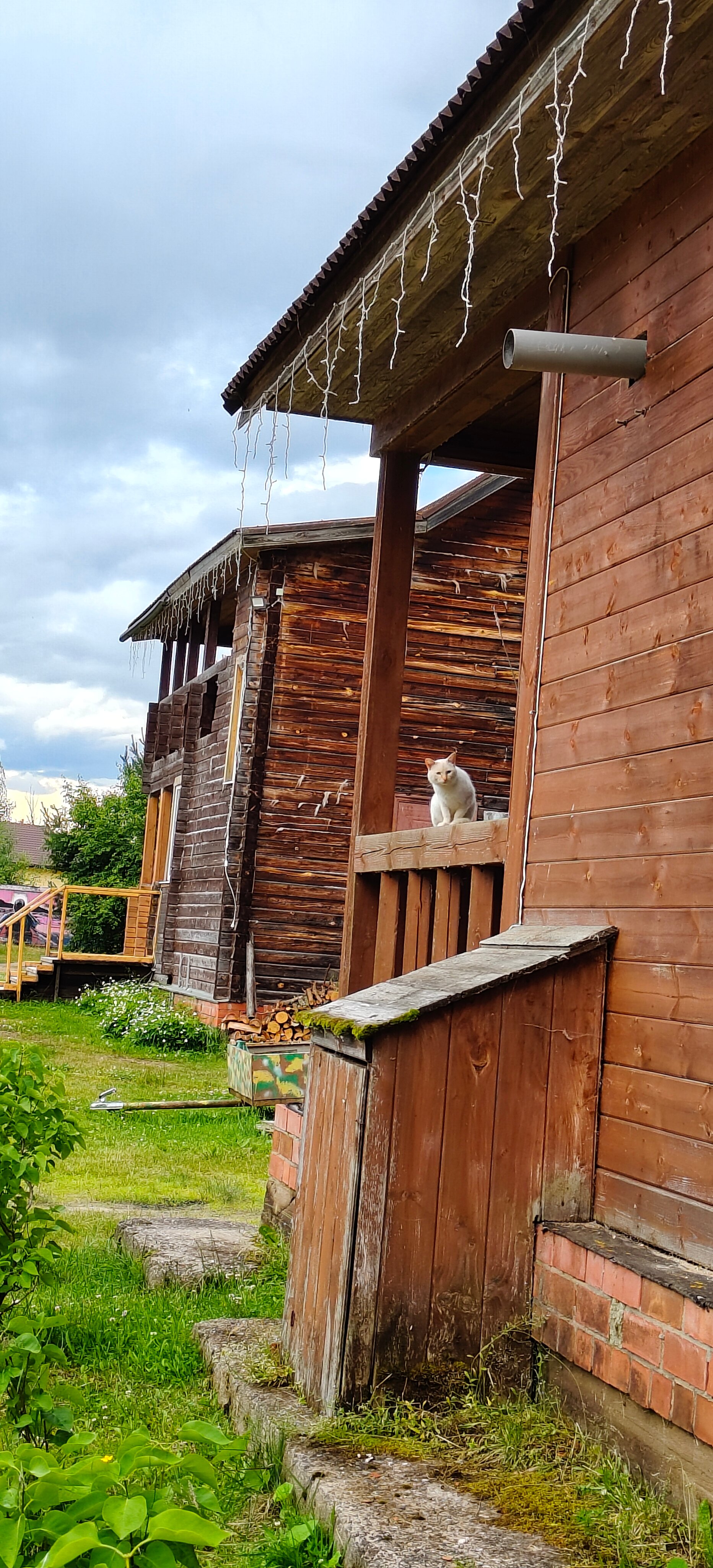 Фото Остров