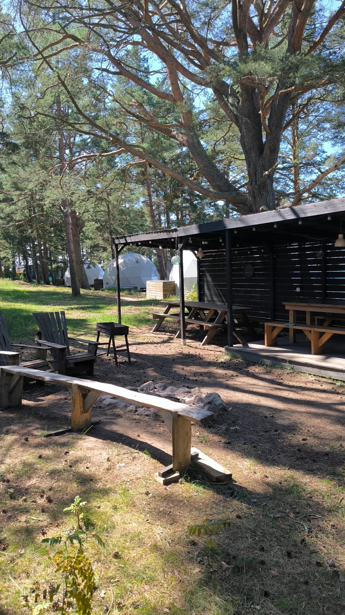 Фото Вéззика