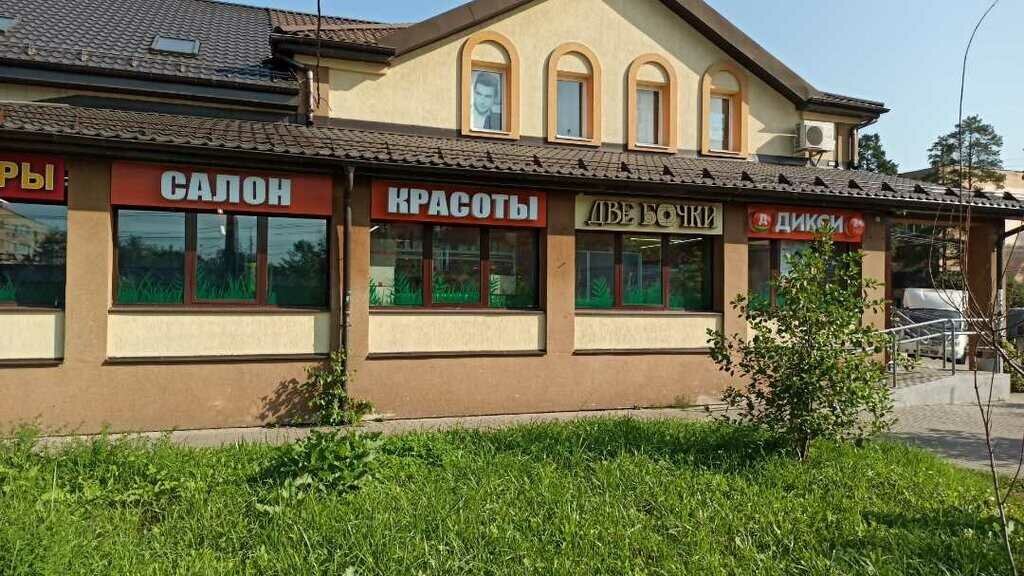 Supermarket Dixy, Vidnoe, photo