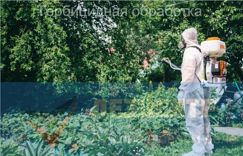 Дезинфекция, дезинсекция, дератизация ДезЦентр, Челябинск, фото