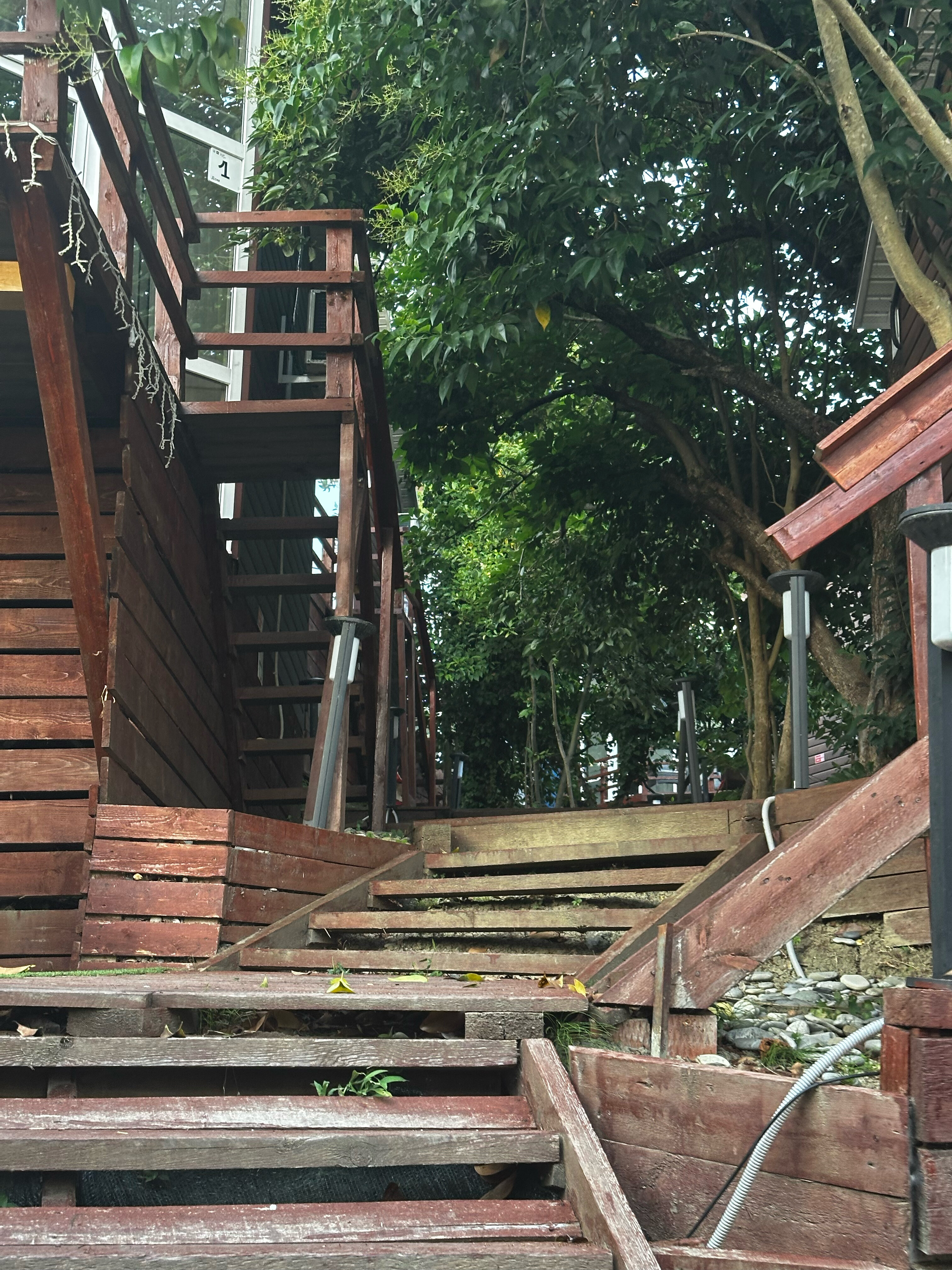 Фото Сочинский берег