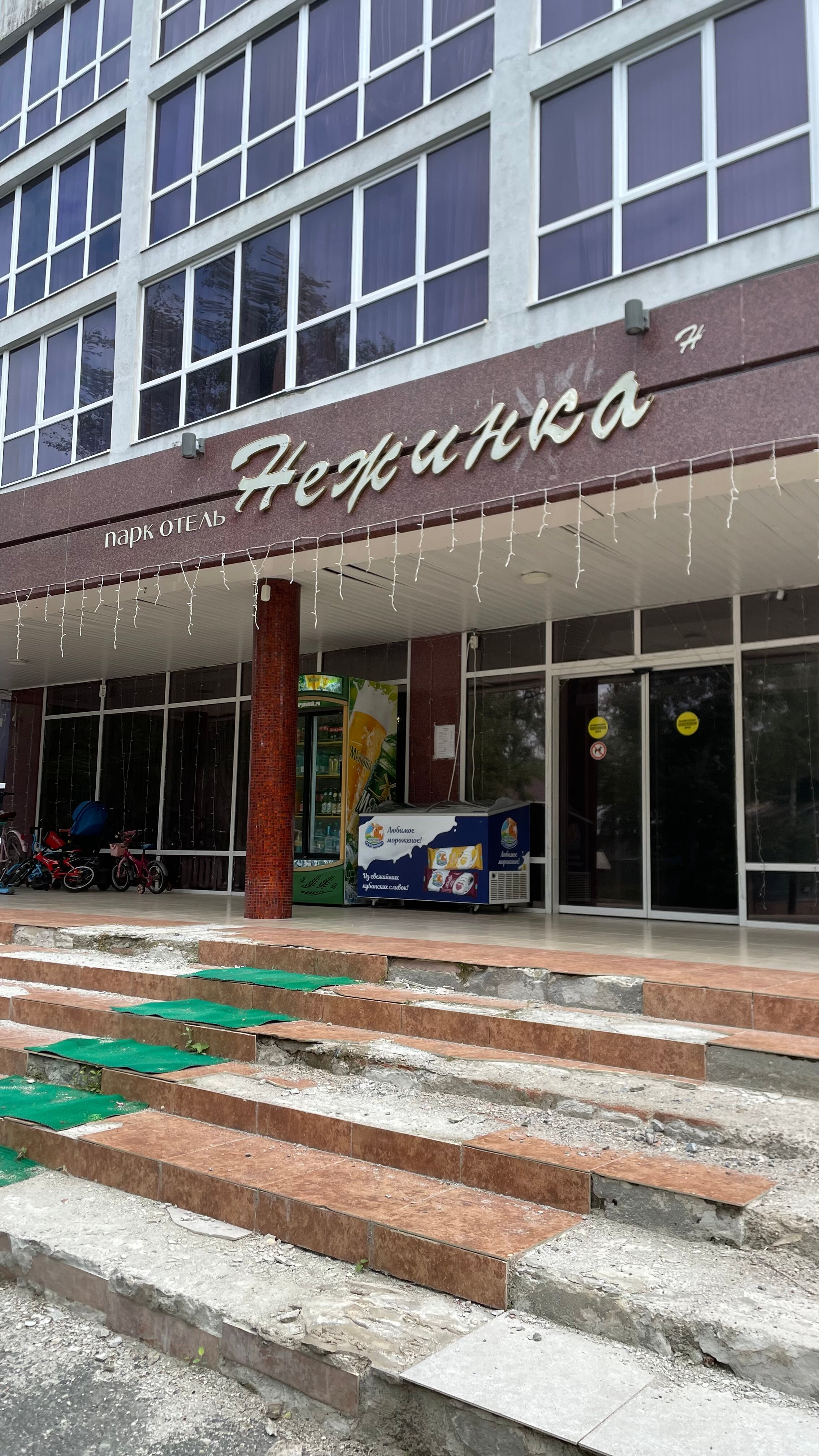 Фото Нежинка