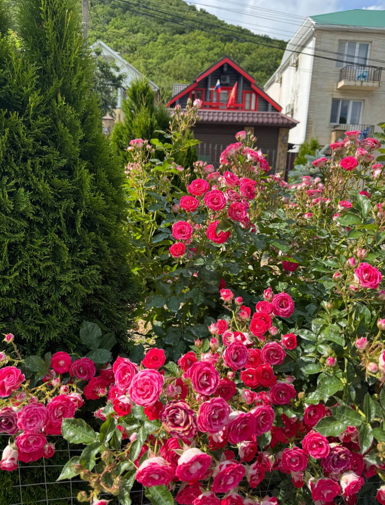 Фото Море и солнце