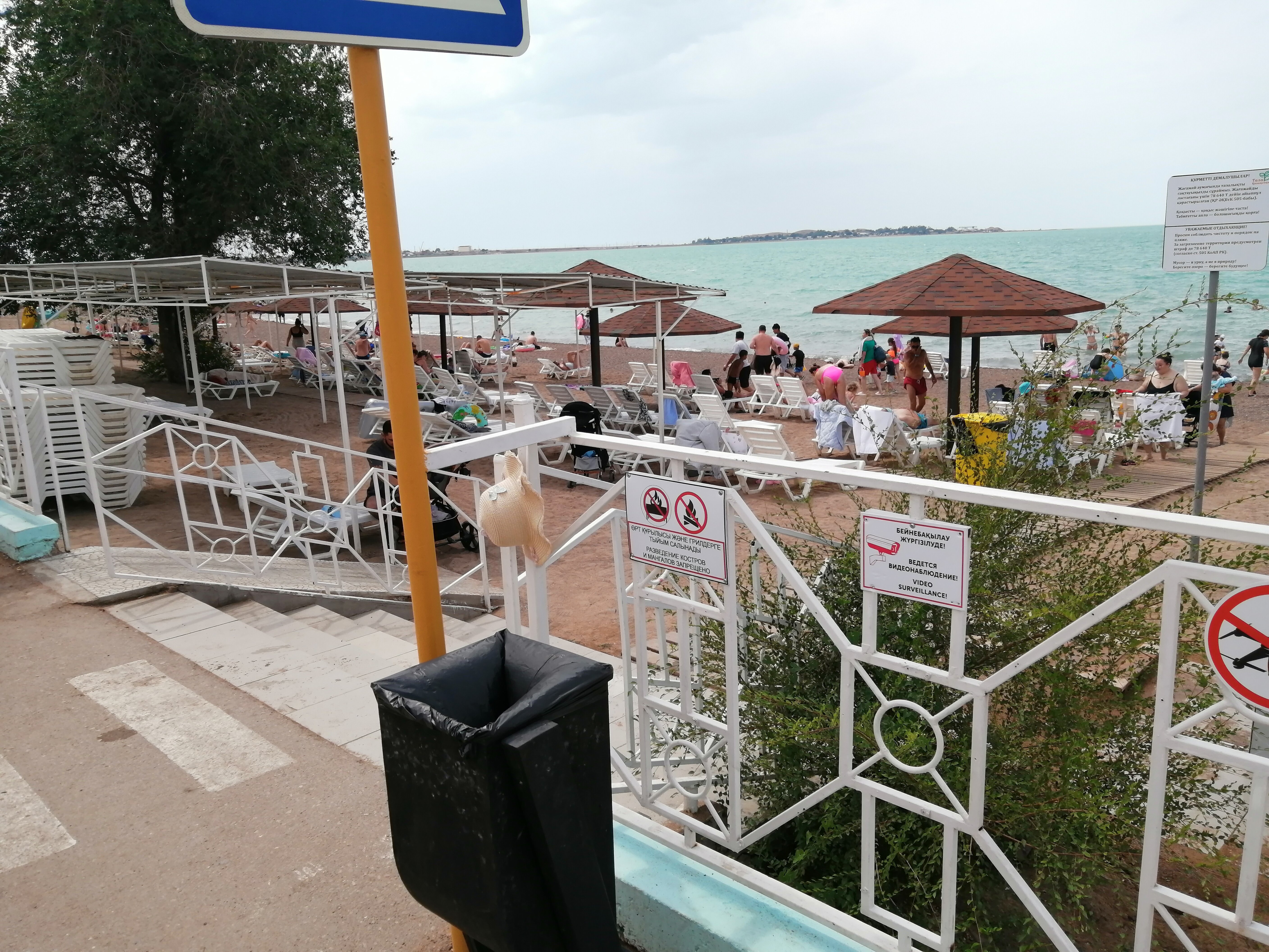 Фото Жемчужина