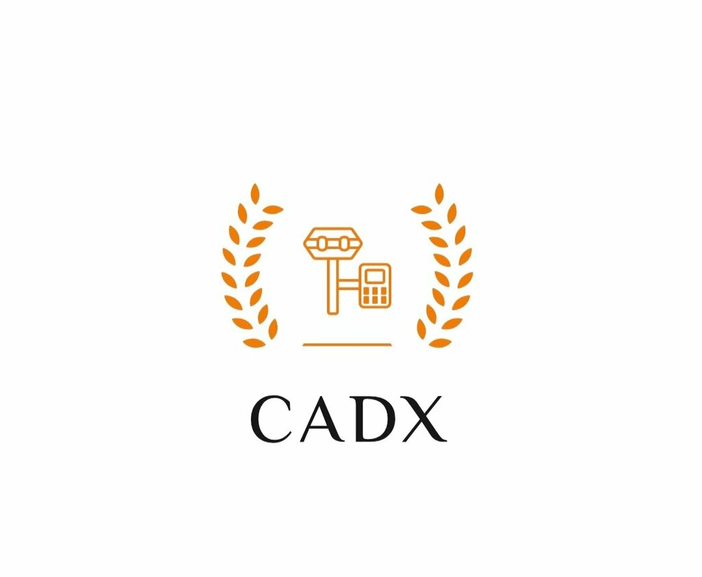 Cadastral works Cadx, Yerevan, photo