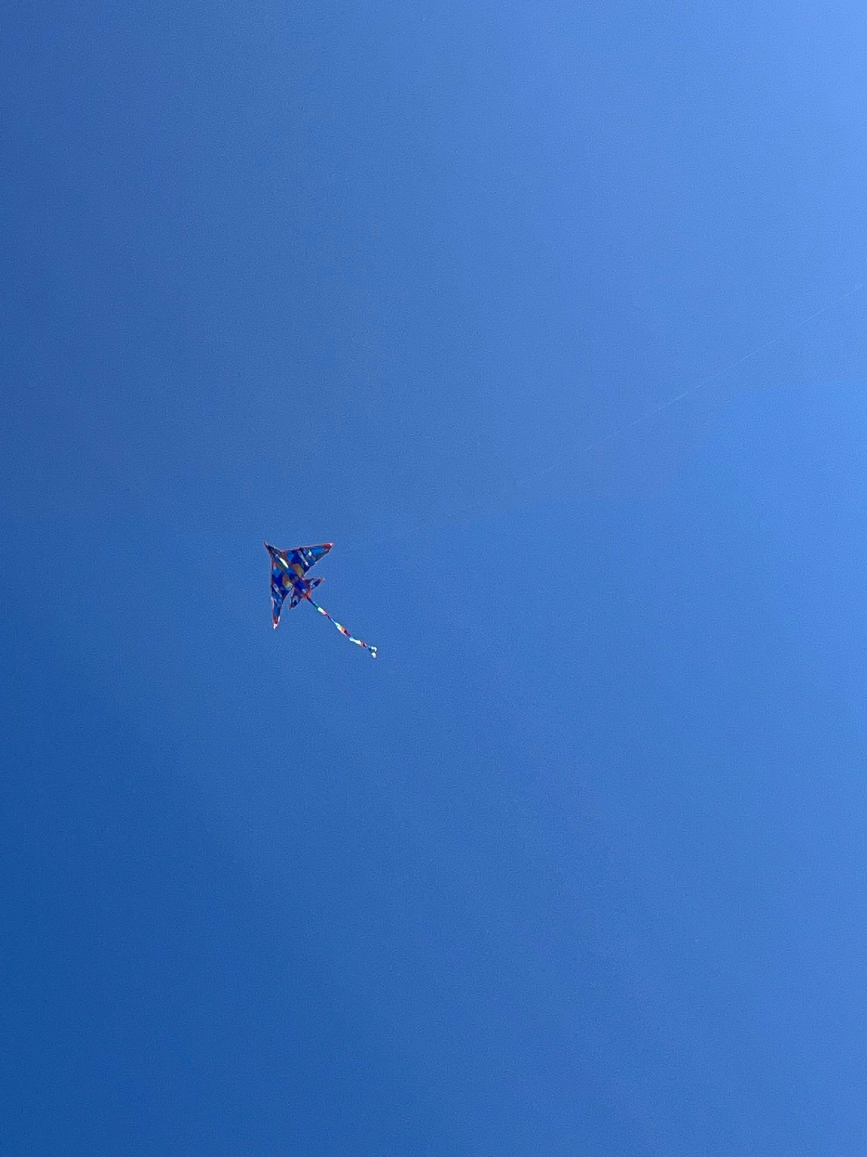 Фото Южный ветер